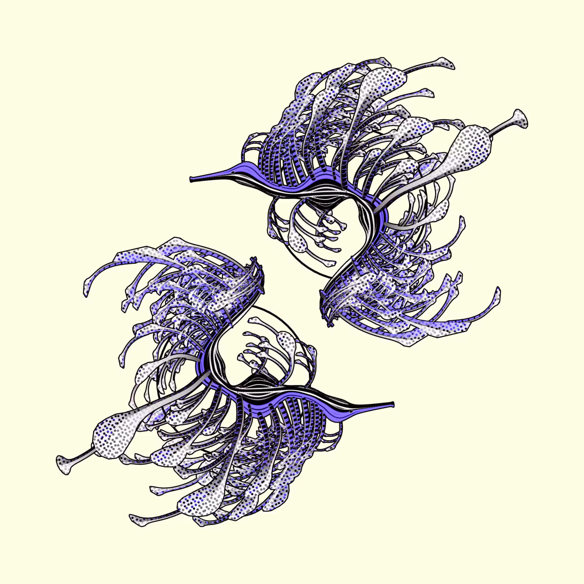 Seadragons #67