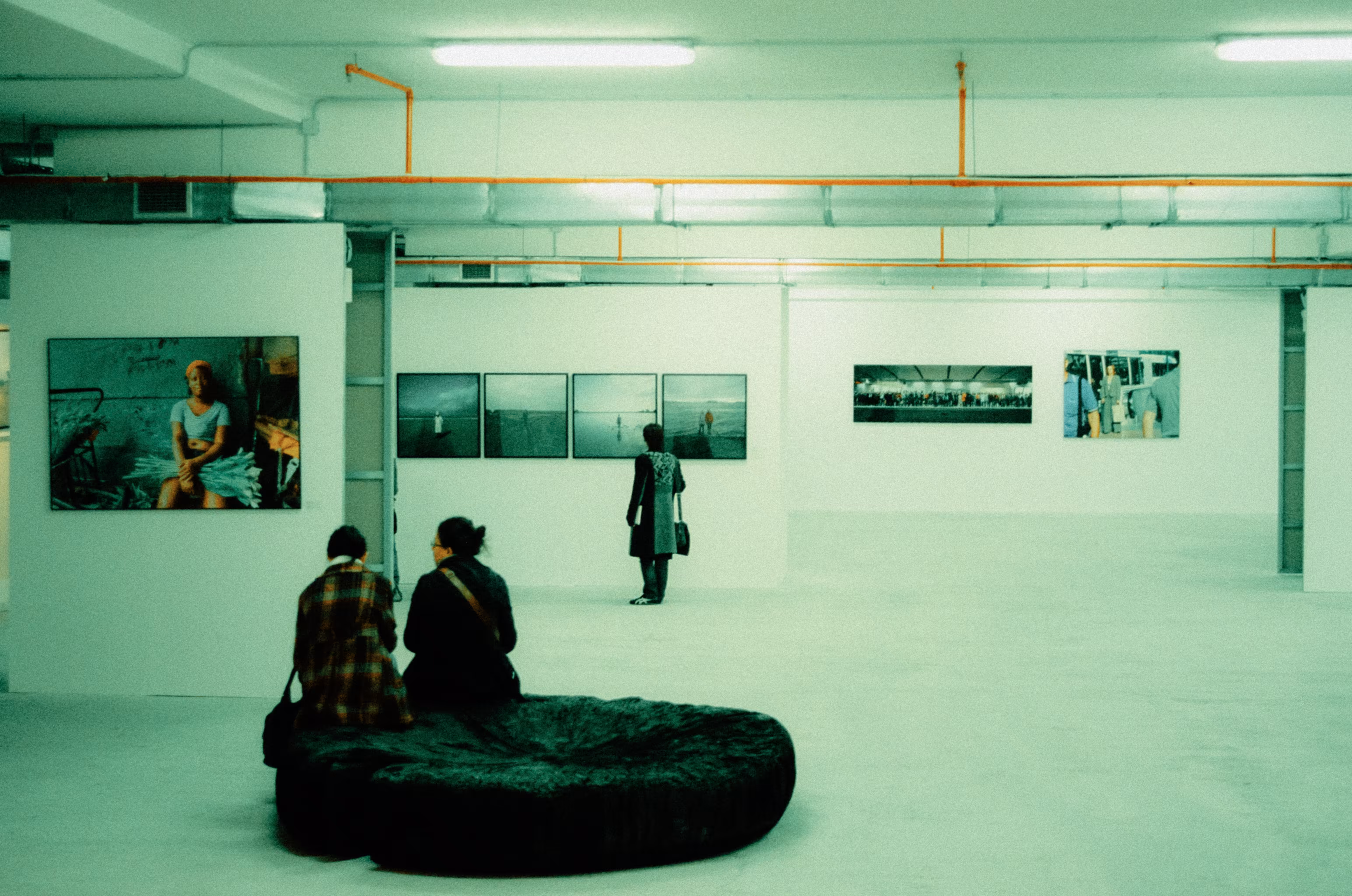 Inevitable Frames: The Stillness of Expression