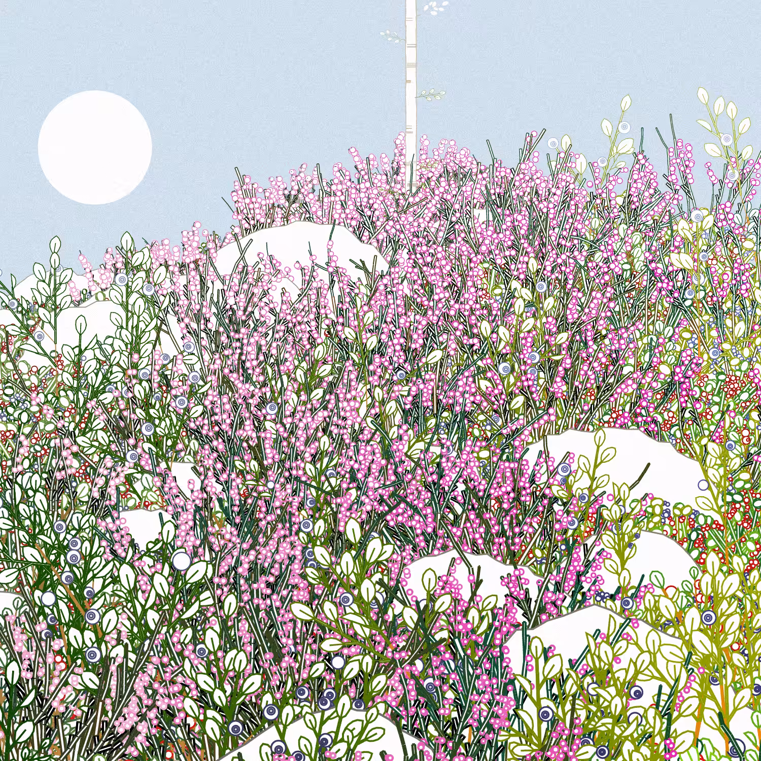 Swedish Forest #14