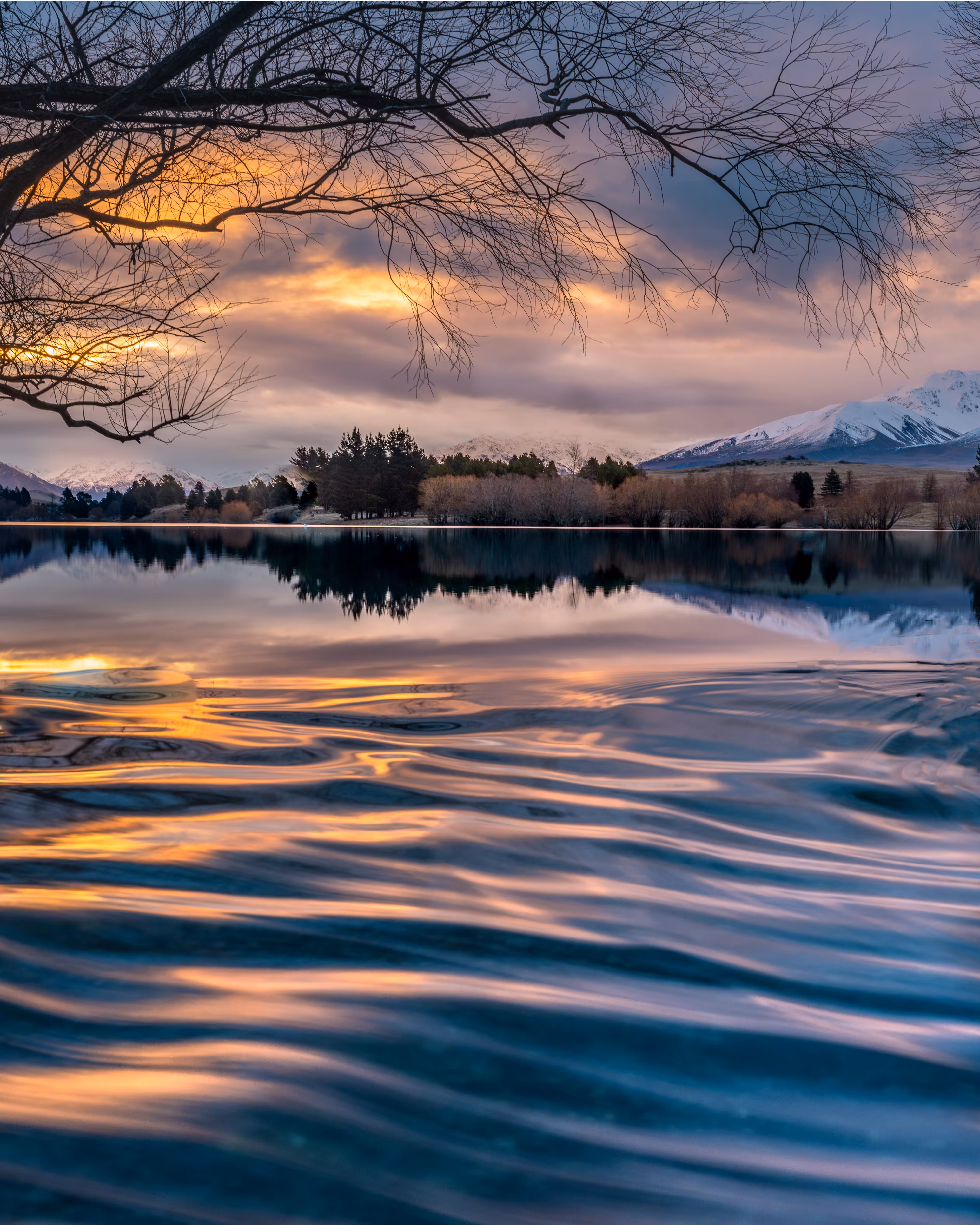 Shimmer