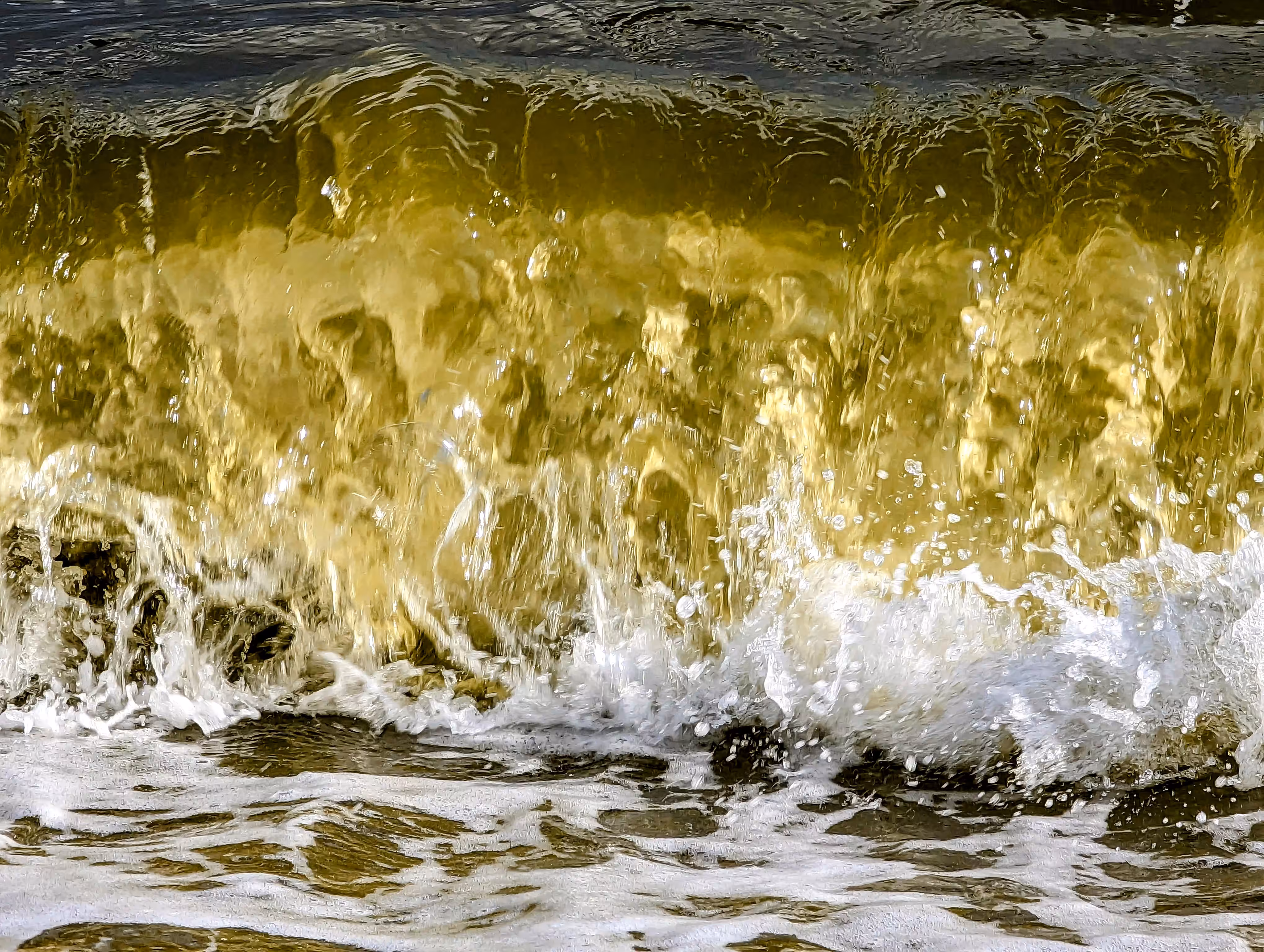 Into the sea