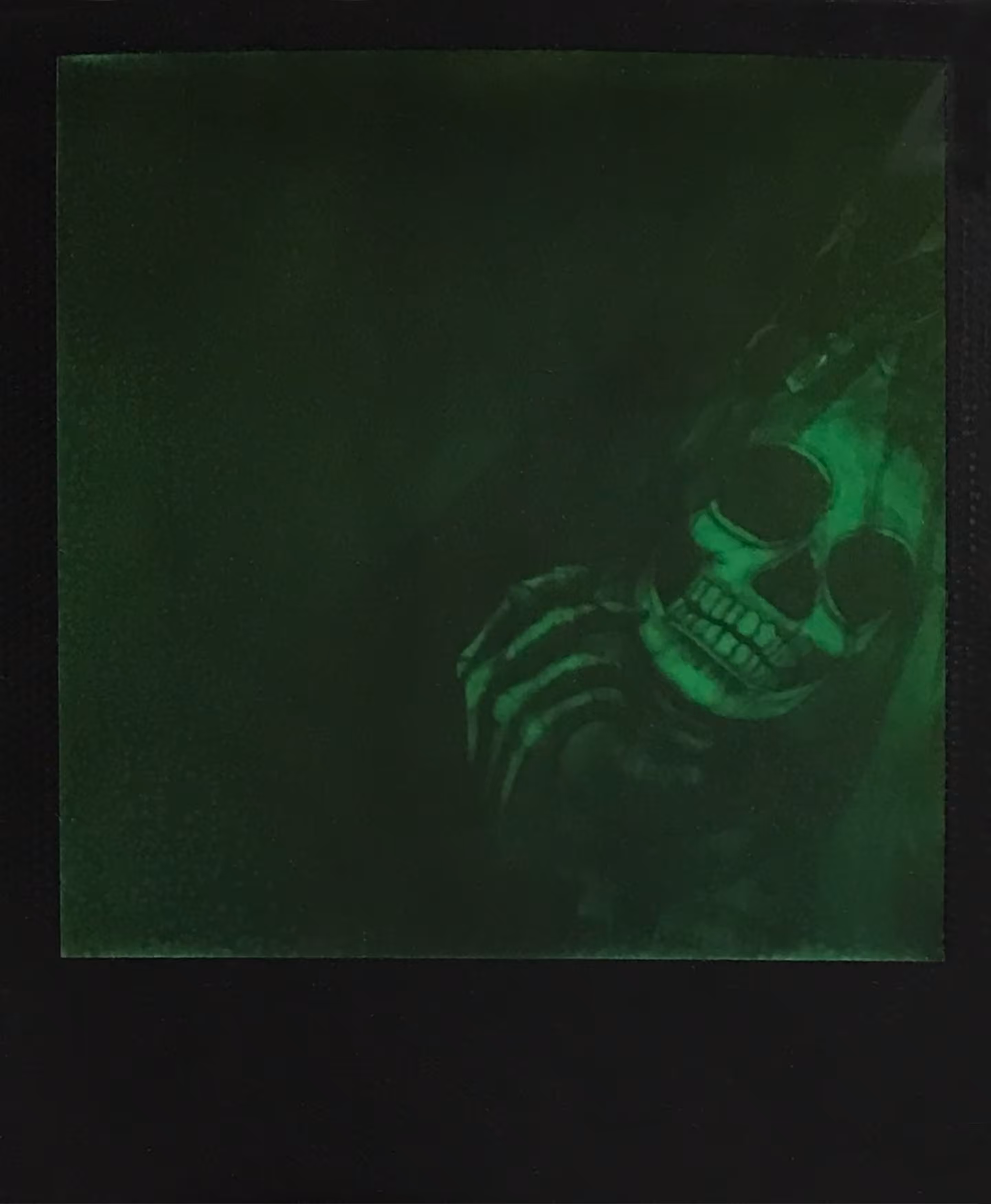 Polaroids 8