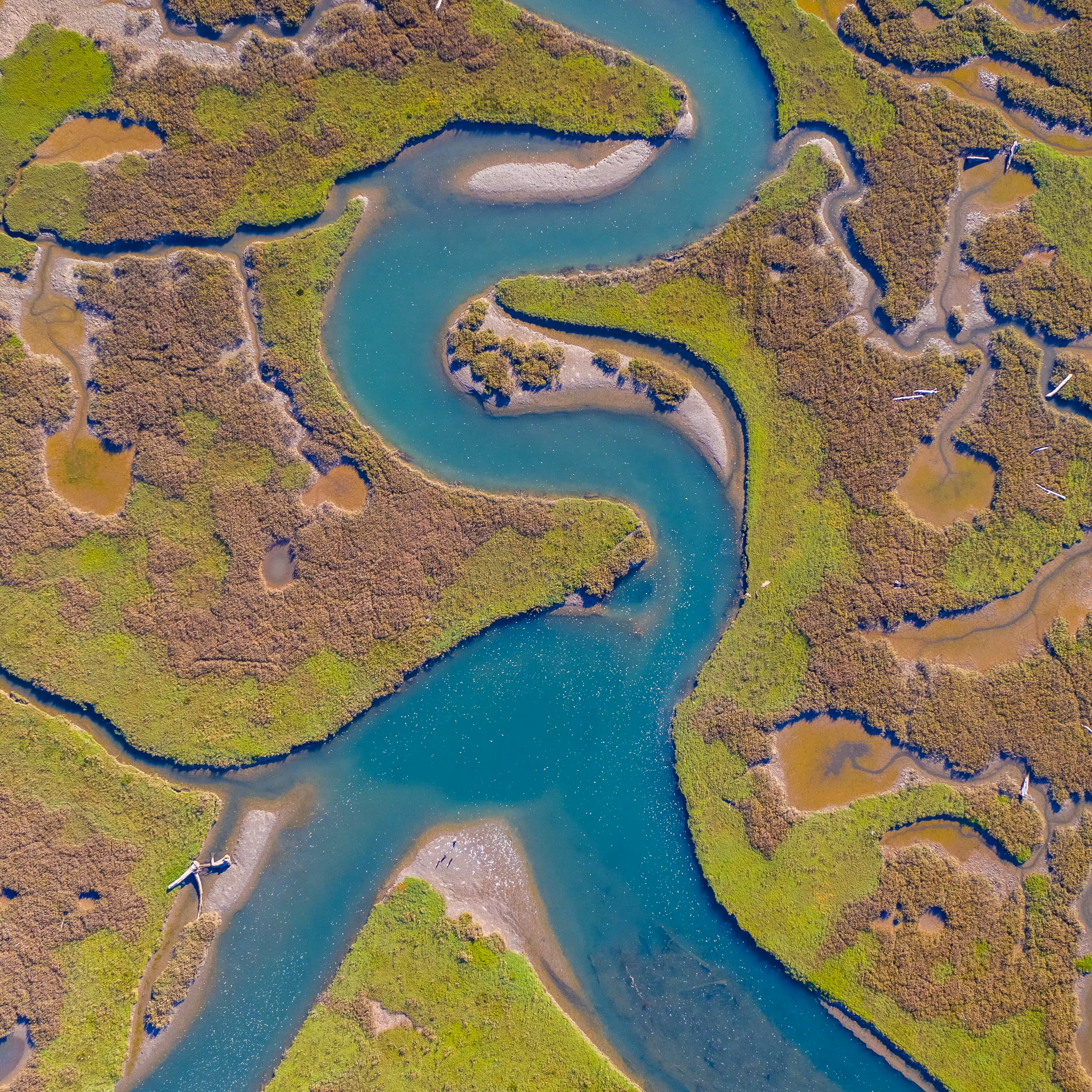 TILES: TILE 56
