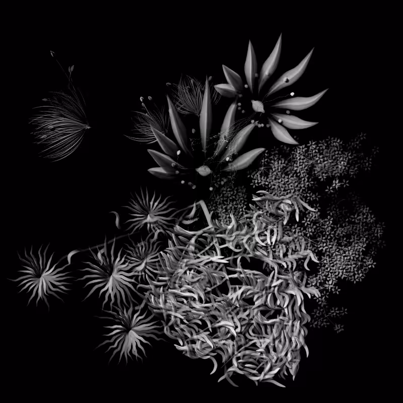Botanical Ghosts #351