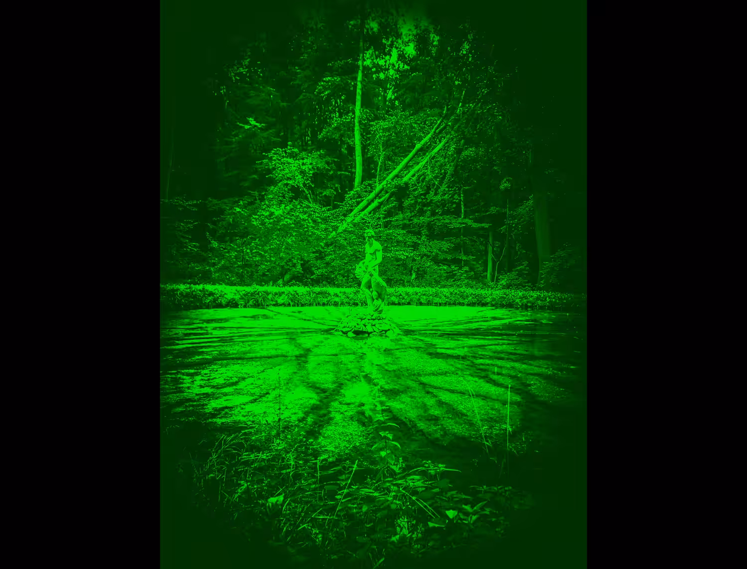 Clear visions