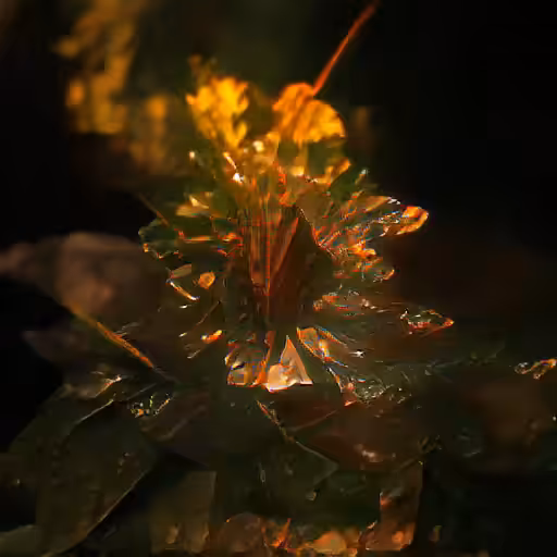 Glass FireFlower