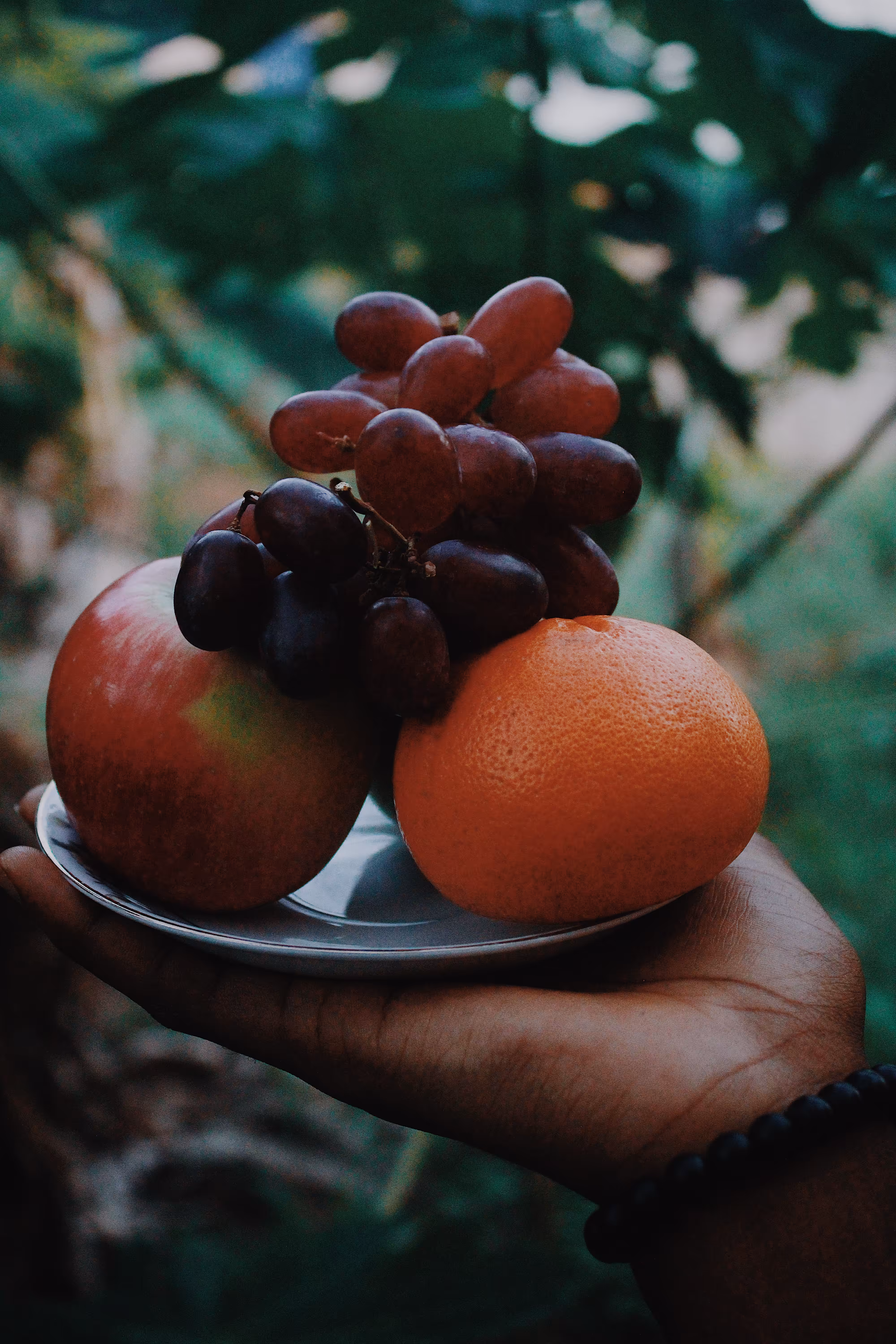 “My Harvest, My Hand”