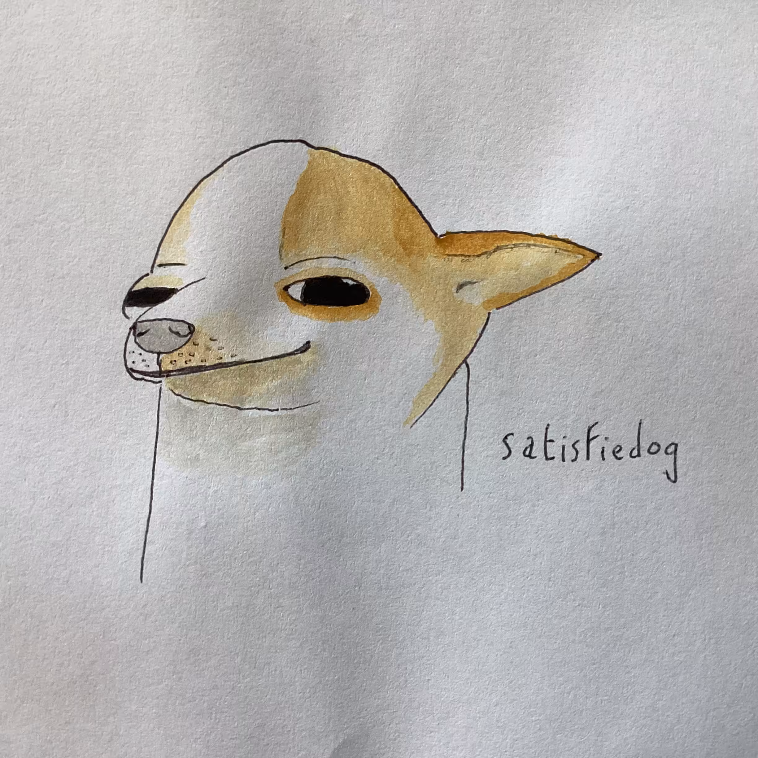Satisfiedog