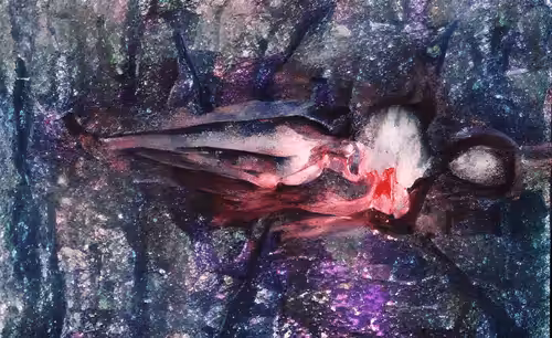 Rebirth - Faceless Wanders