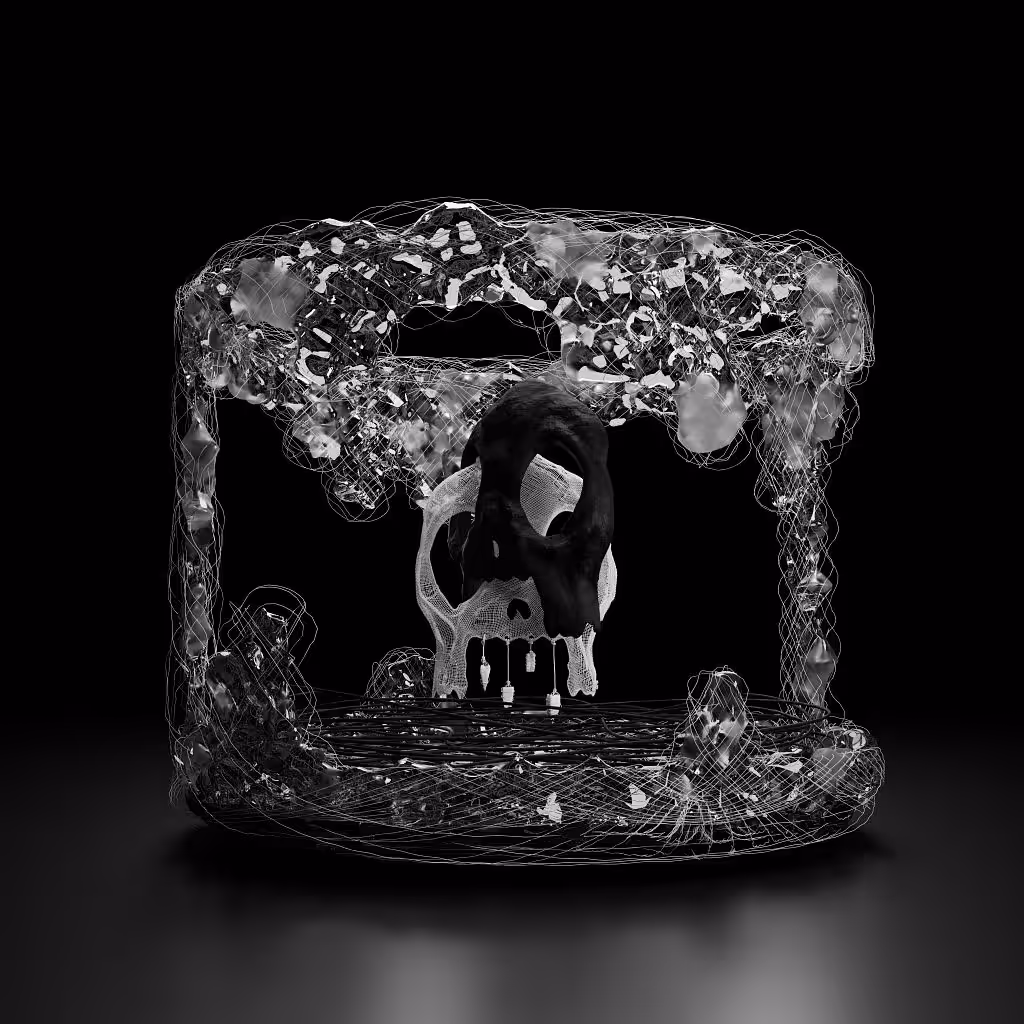 Visage C161616