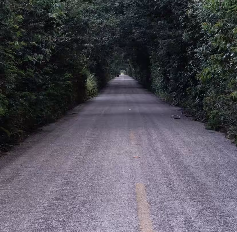 On the way to El Cuyo, Mexico