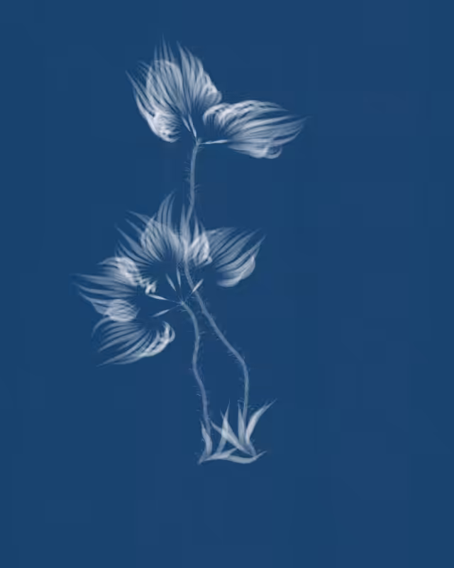 Cyanotypes #276
