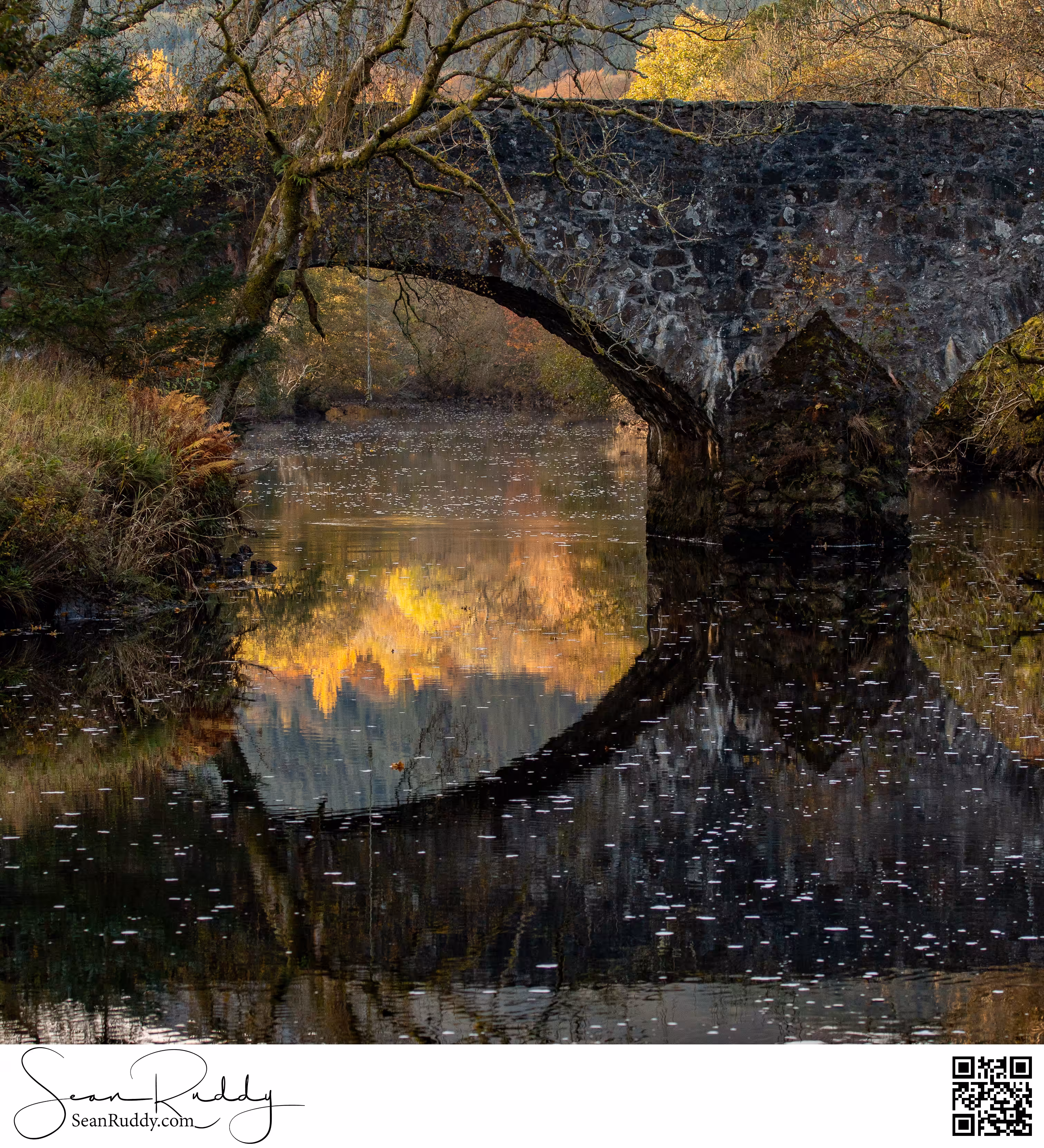 Reflecting Autumn Strathyre