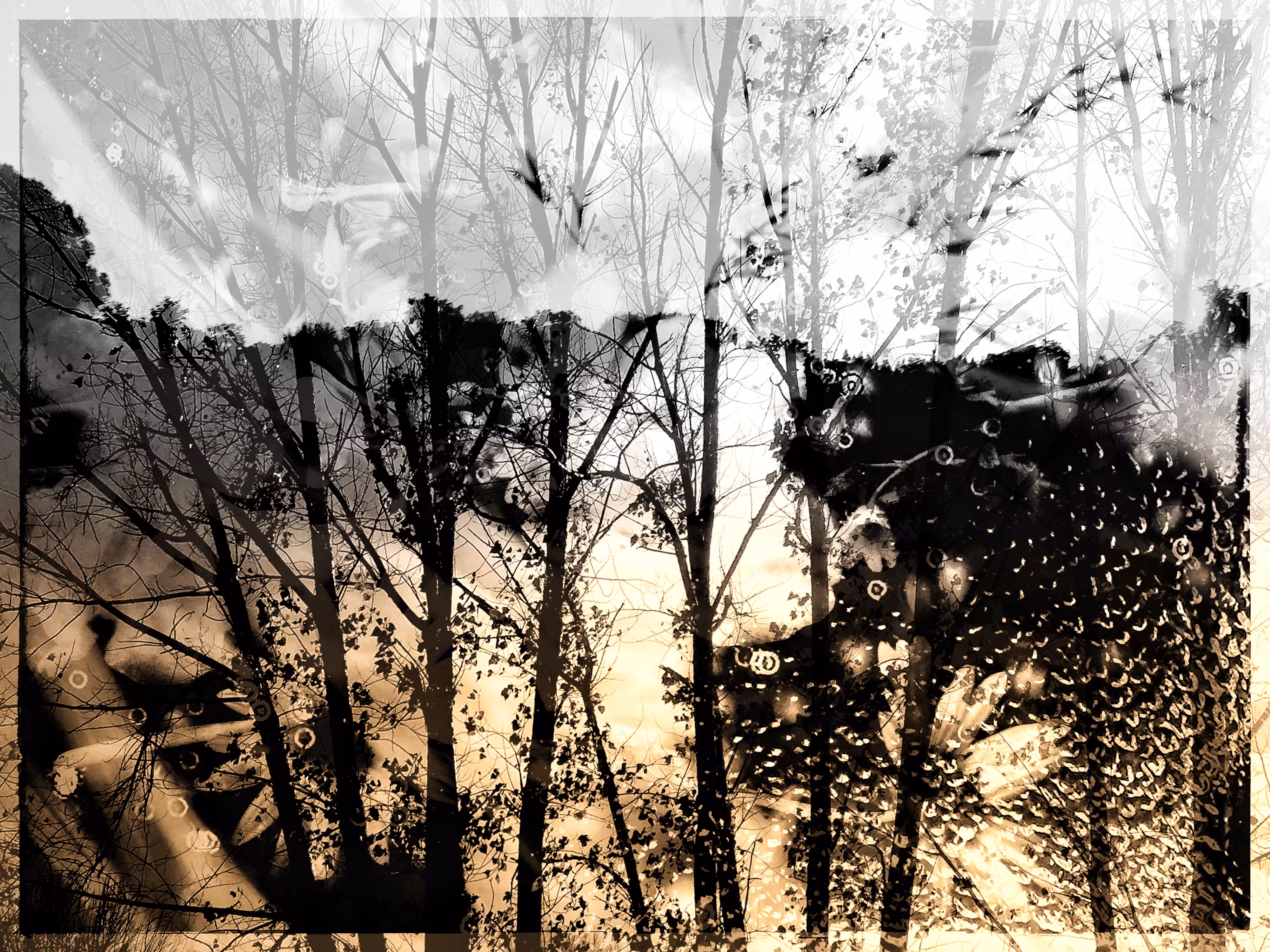 Immerse