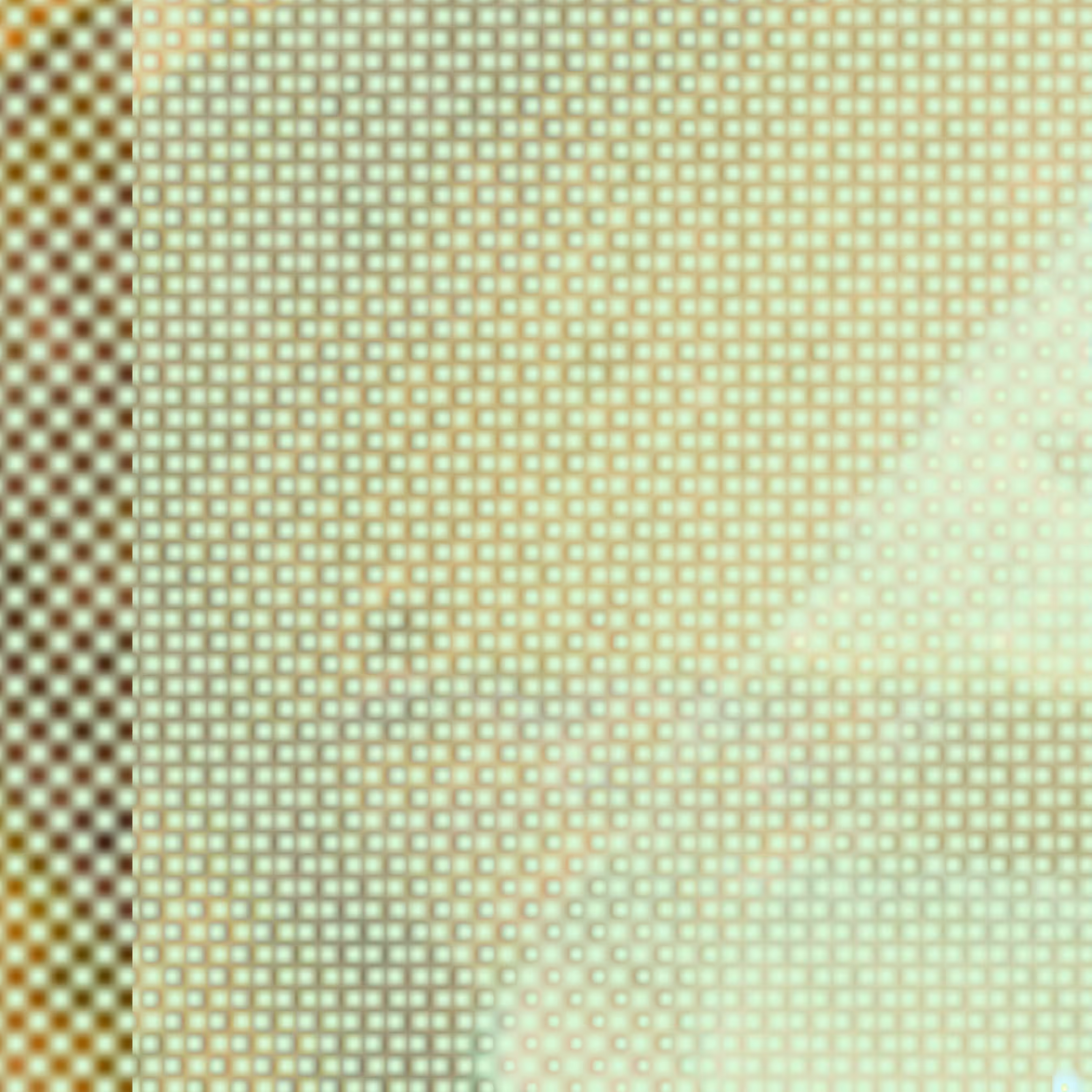 organic grid B.04