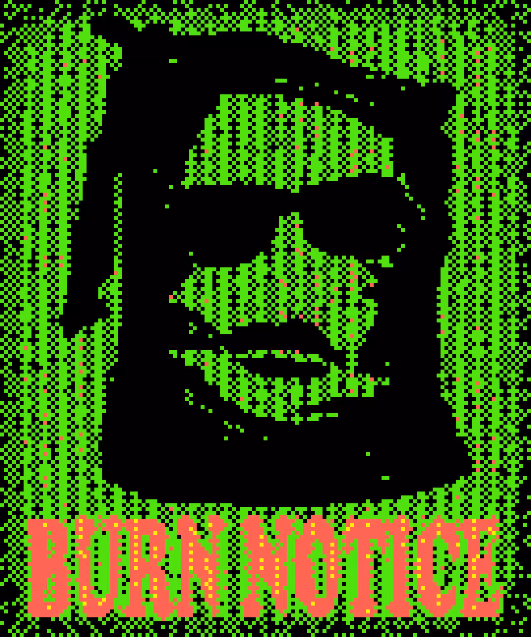 BURN NOTICE