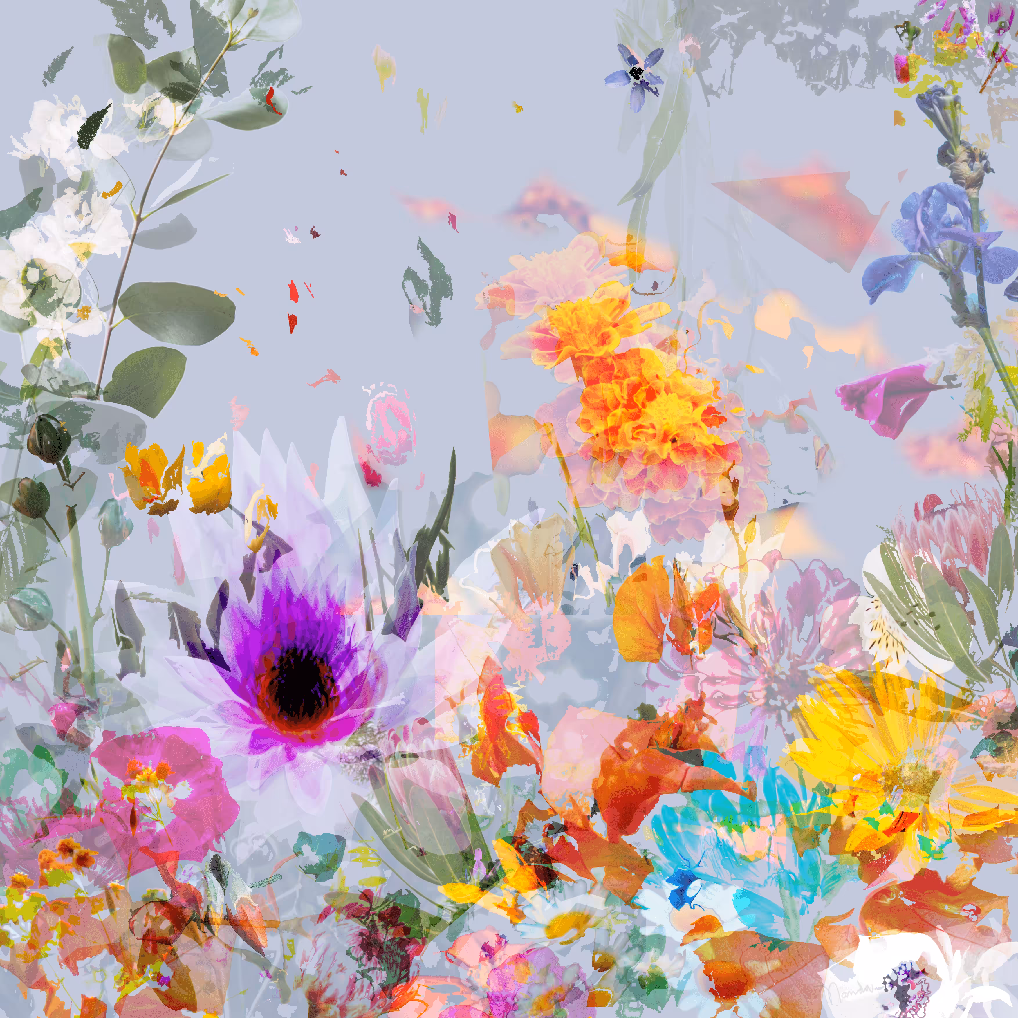  ˚*•̩̩͙❀•̩̩͙＊* 11-01001＊*•̩̩͙❀•̩̩͙*˚