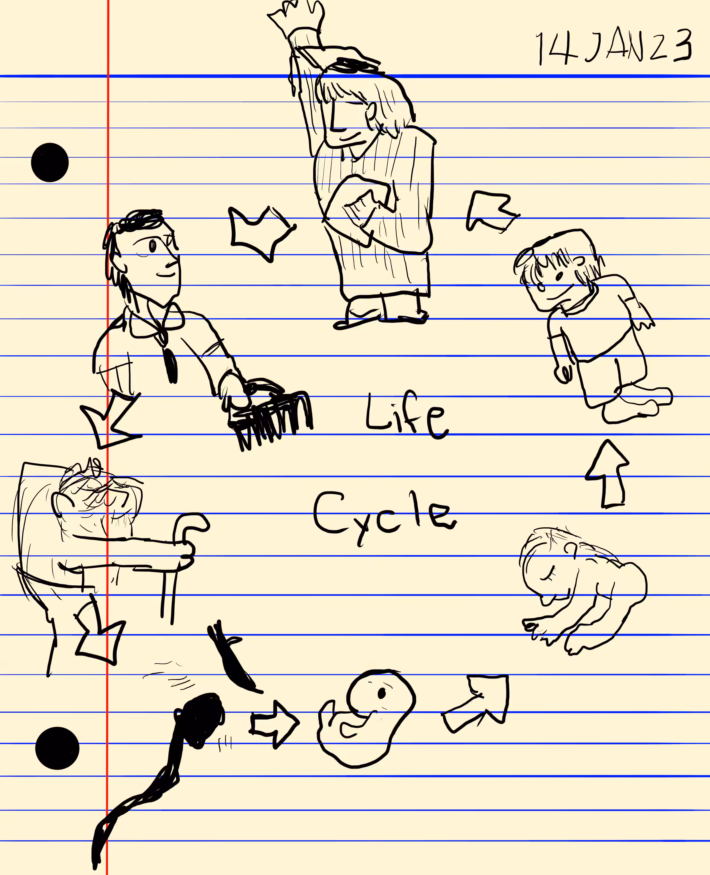 2023-01-14 "Life Cycle"