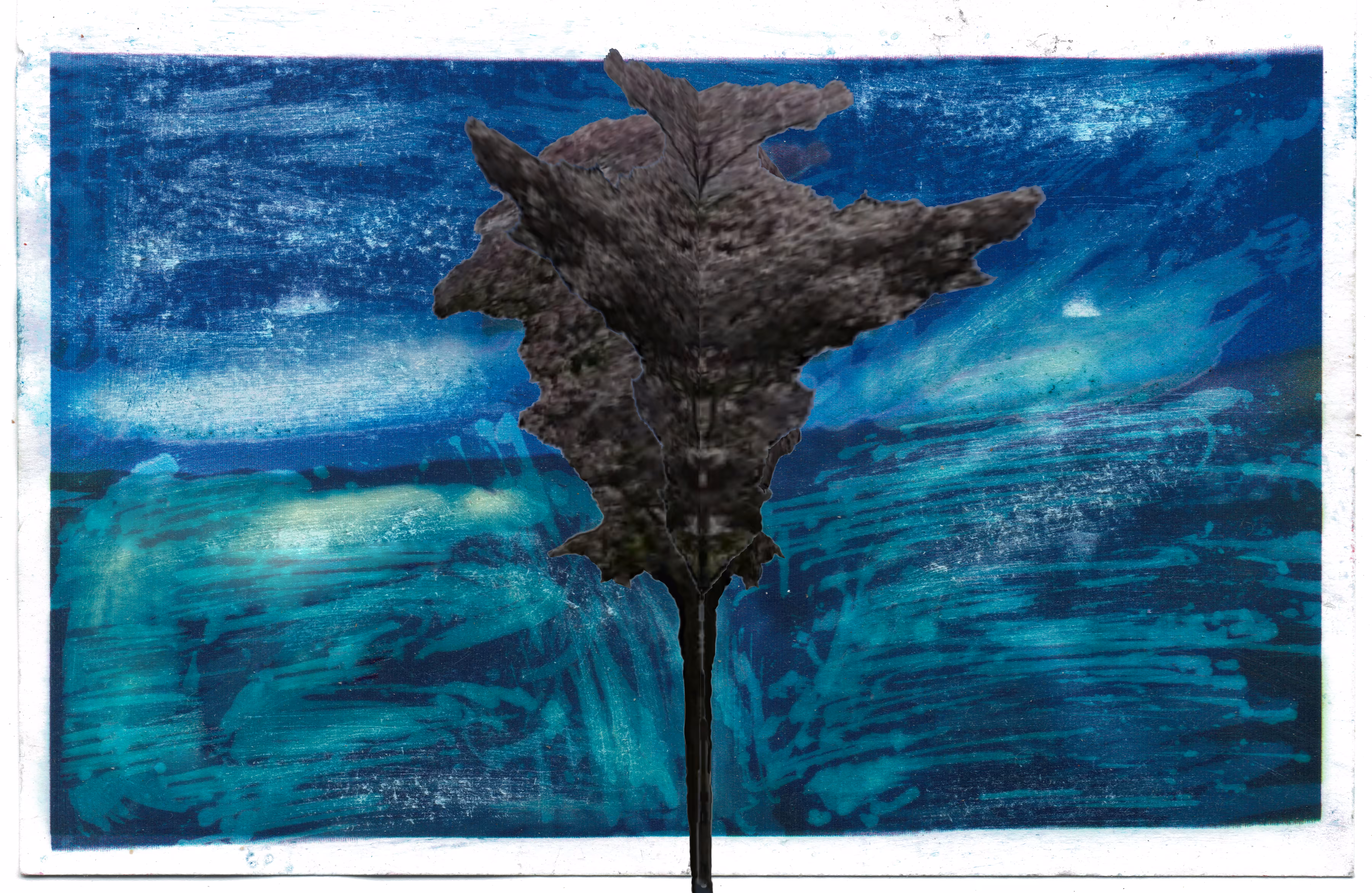 beached tree bleached (1)
