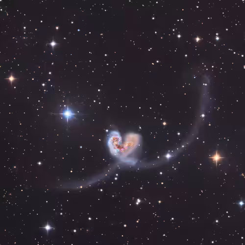 Dance of Love #3