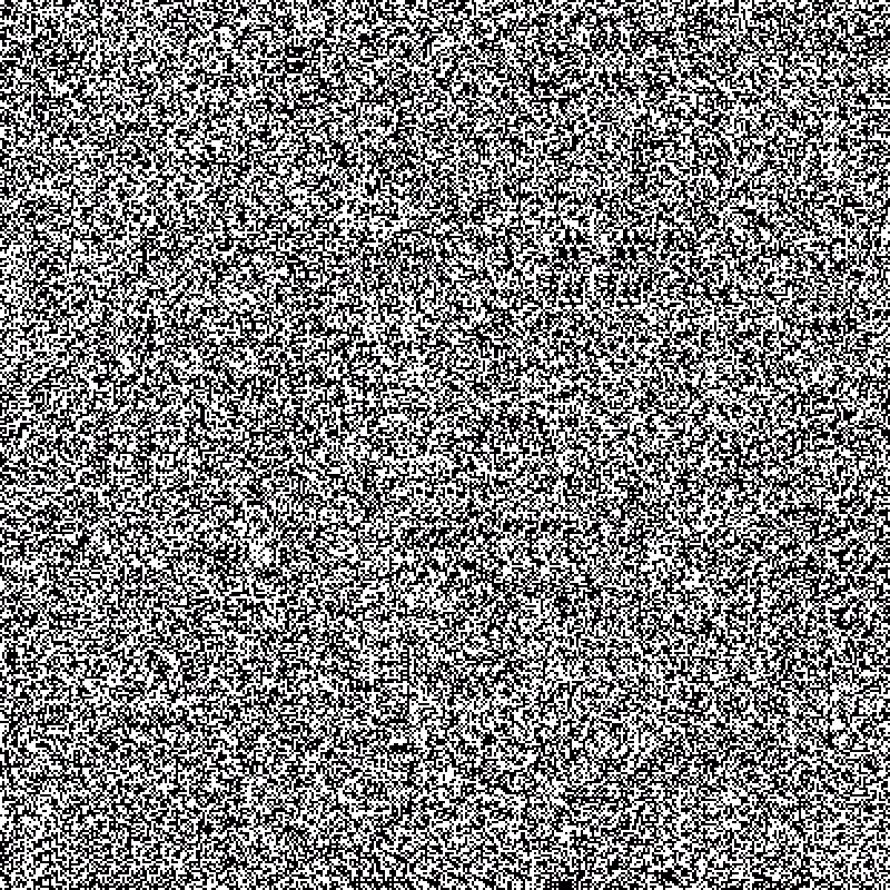 no noise #1 #18