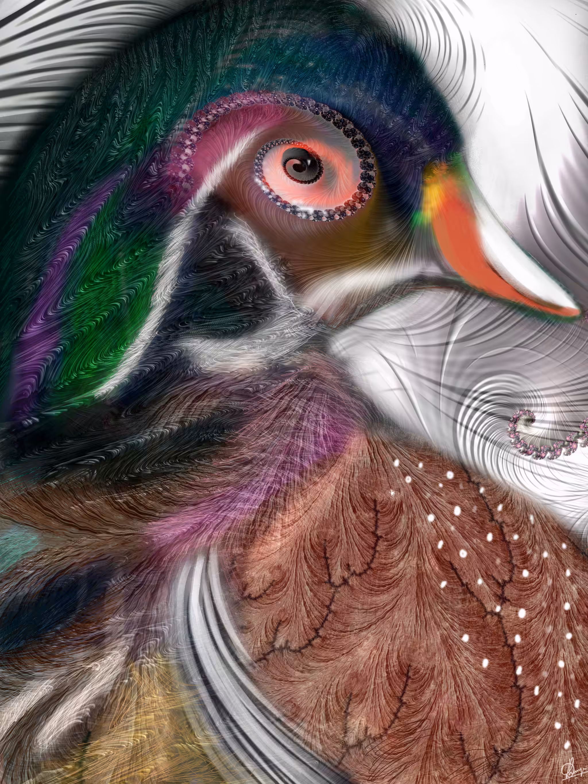 Fractal Art Series- Birds #5 Splendid Wood Duck