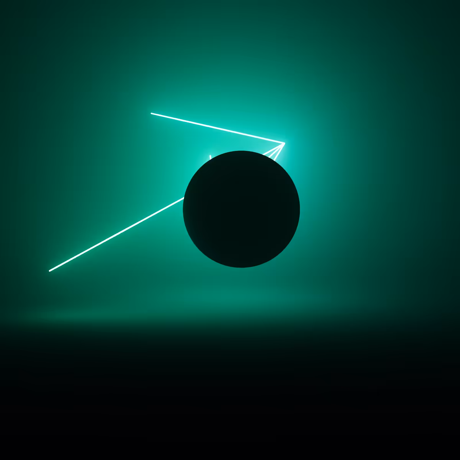 Wandering Nets Redux #112