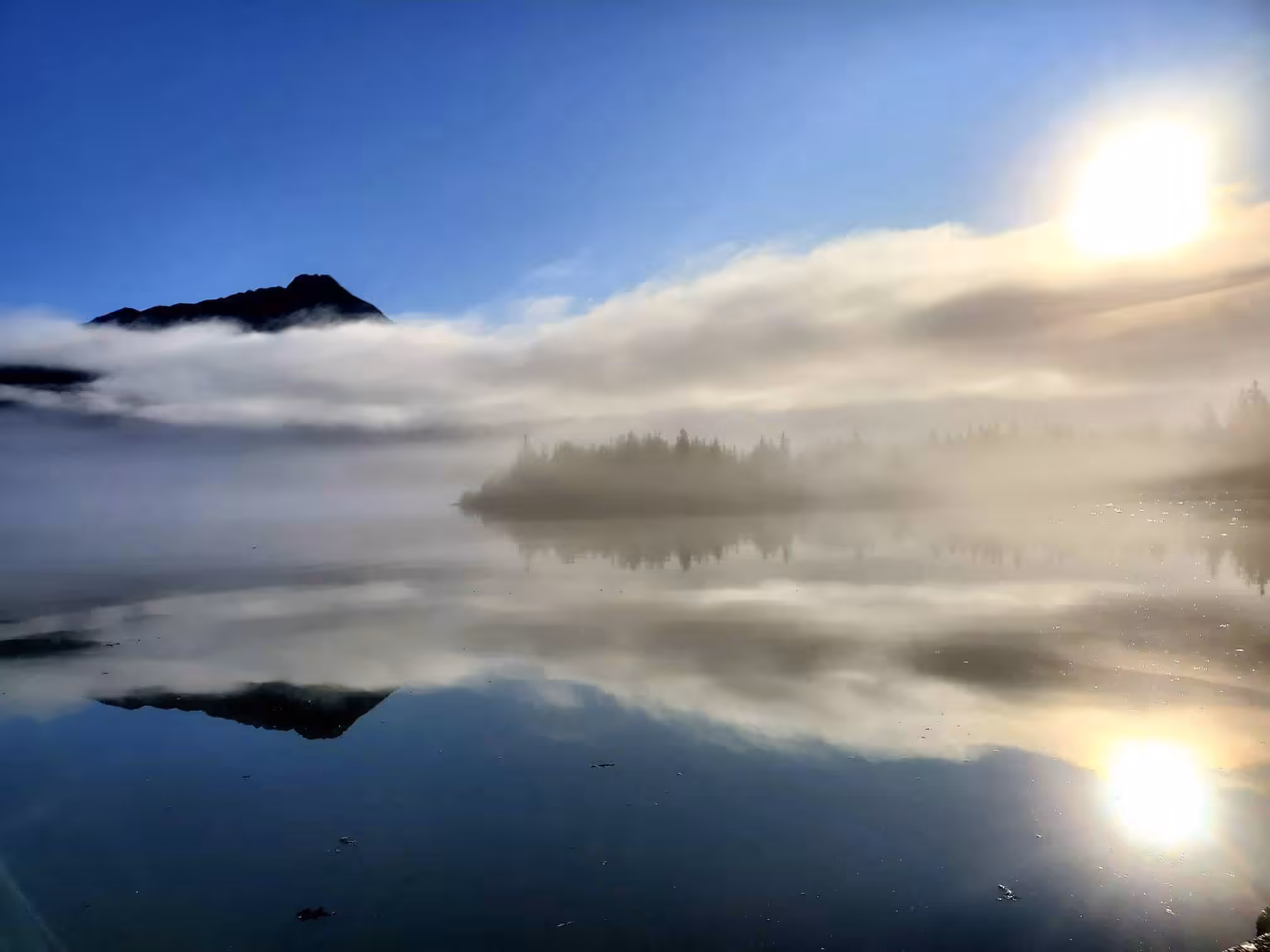 Reflect 