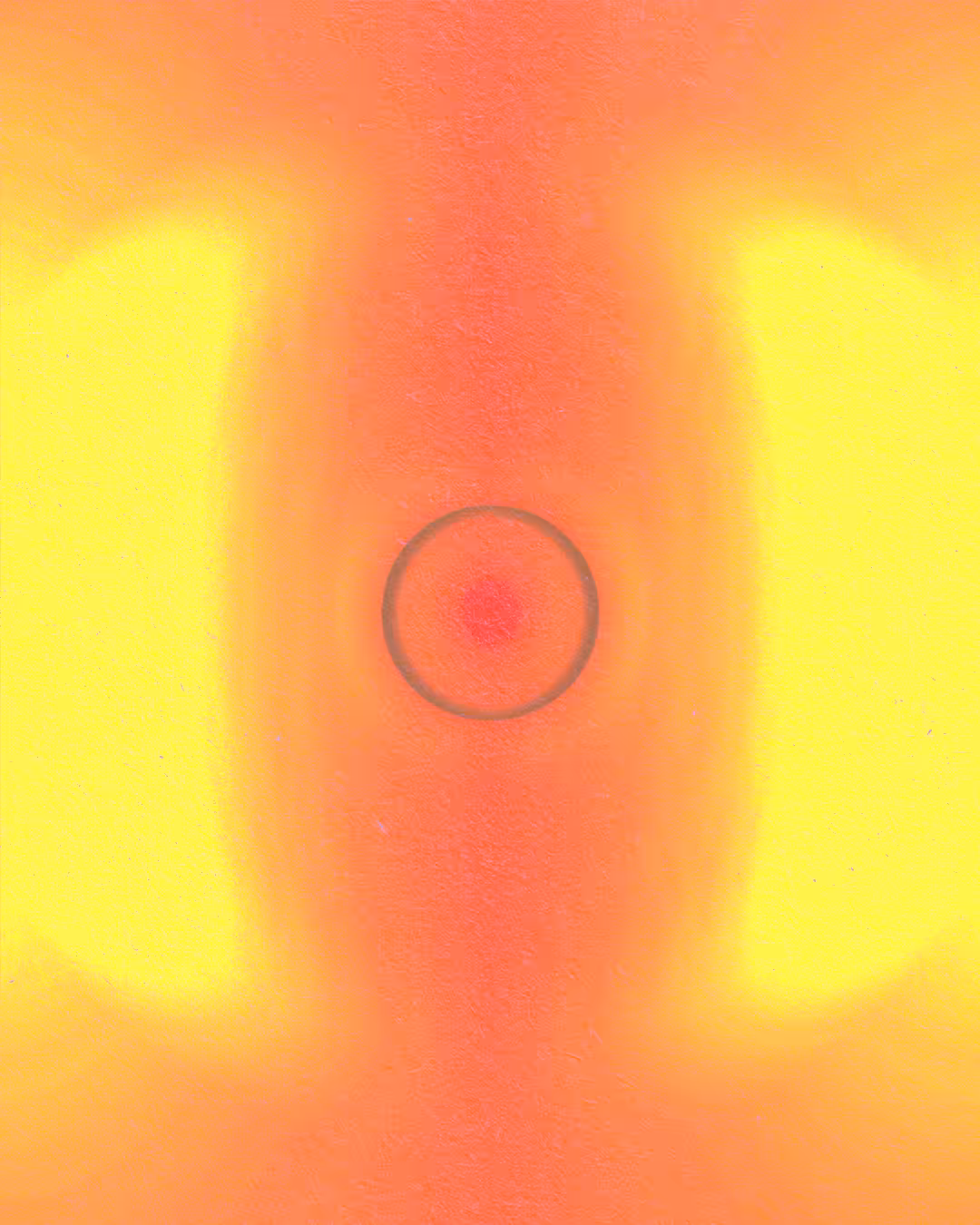 SPECTRUM 171
