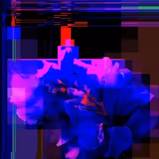 beautiful scenery  : Beautiful blue flower