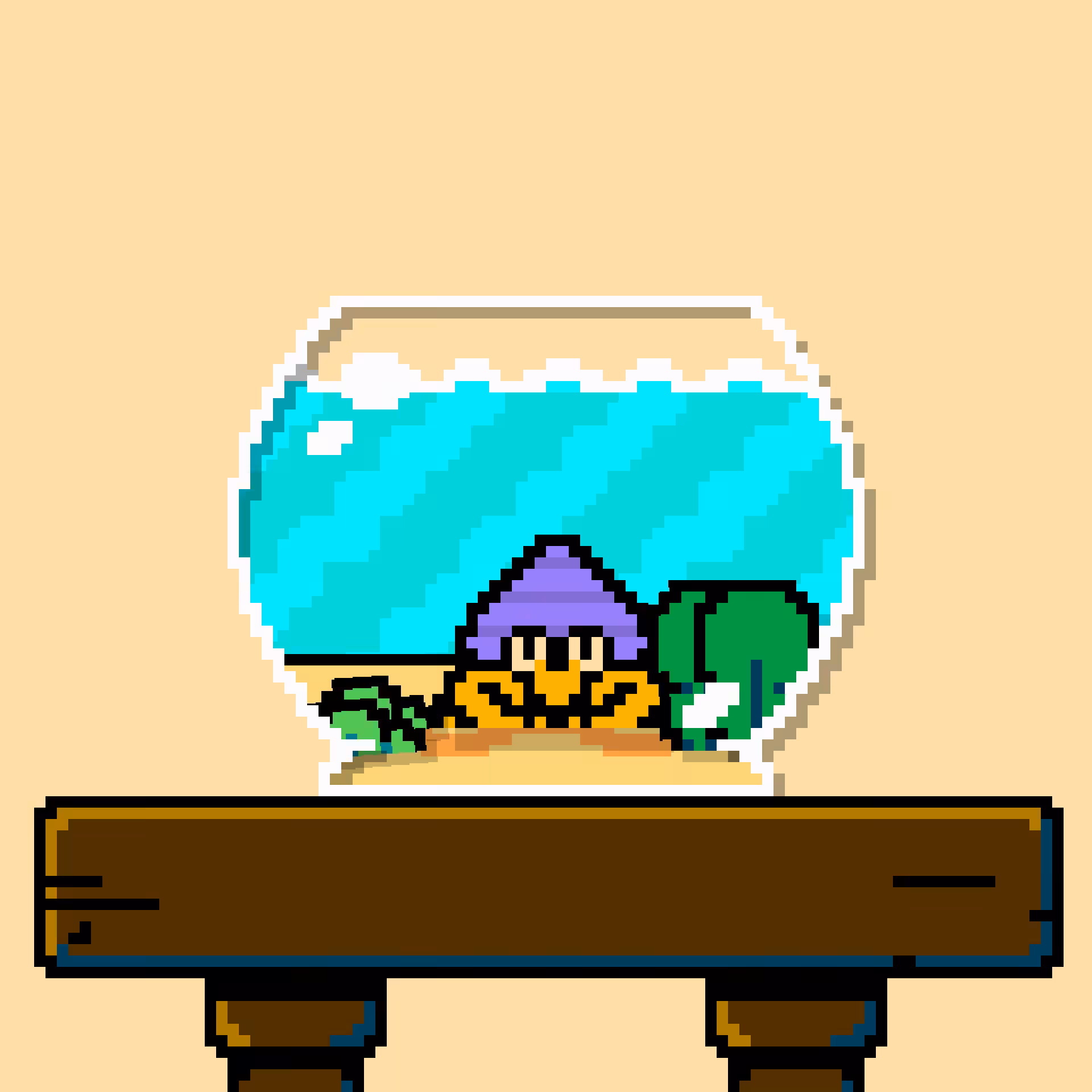 hermit crab #52