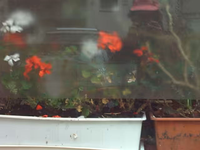 Privacy Film for Flower Pots