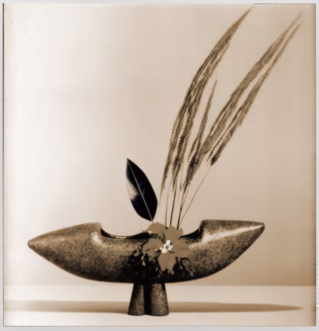 Marram Grass, Instant Photo (polaroid), 1947