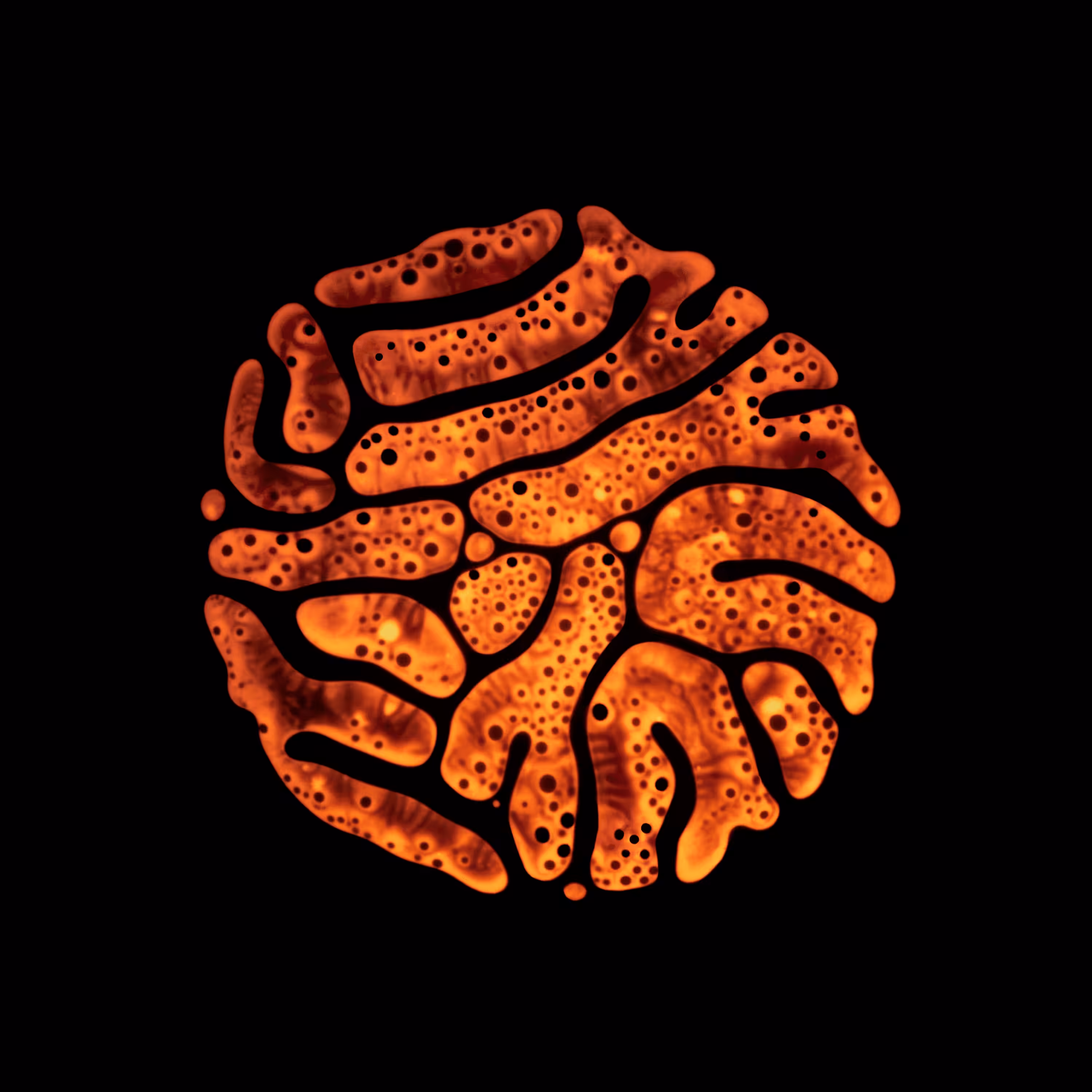 Haematopoiesis #42