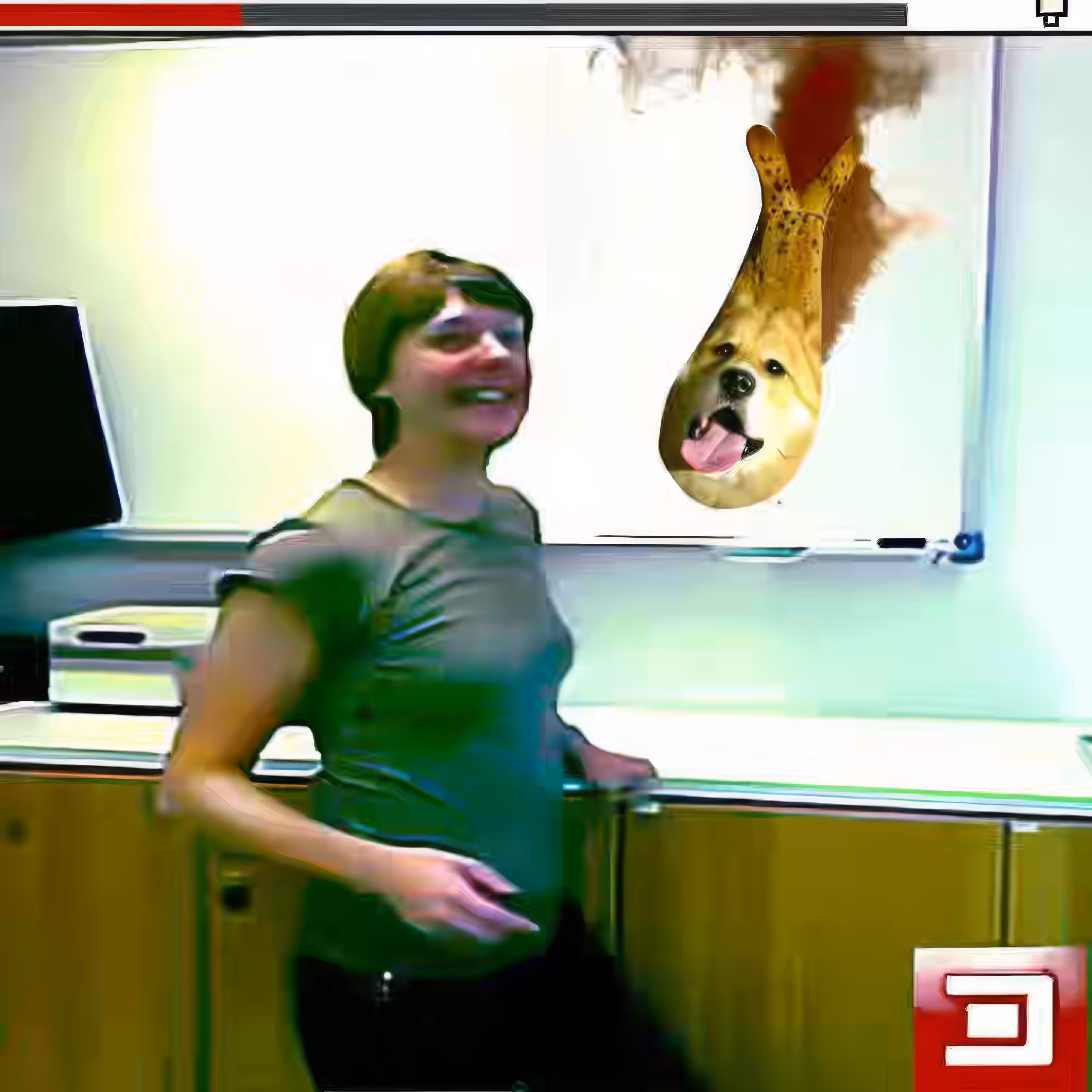BAD JPEGs: Photoshop-Dogfish