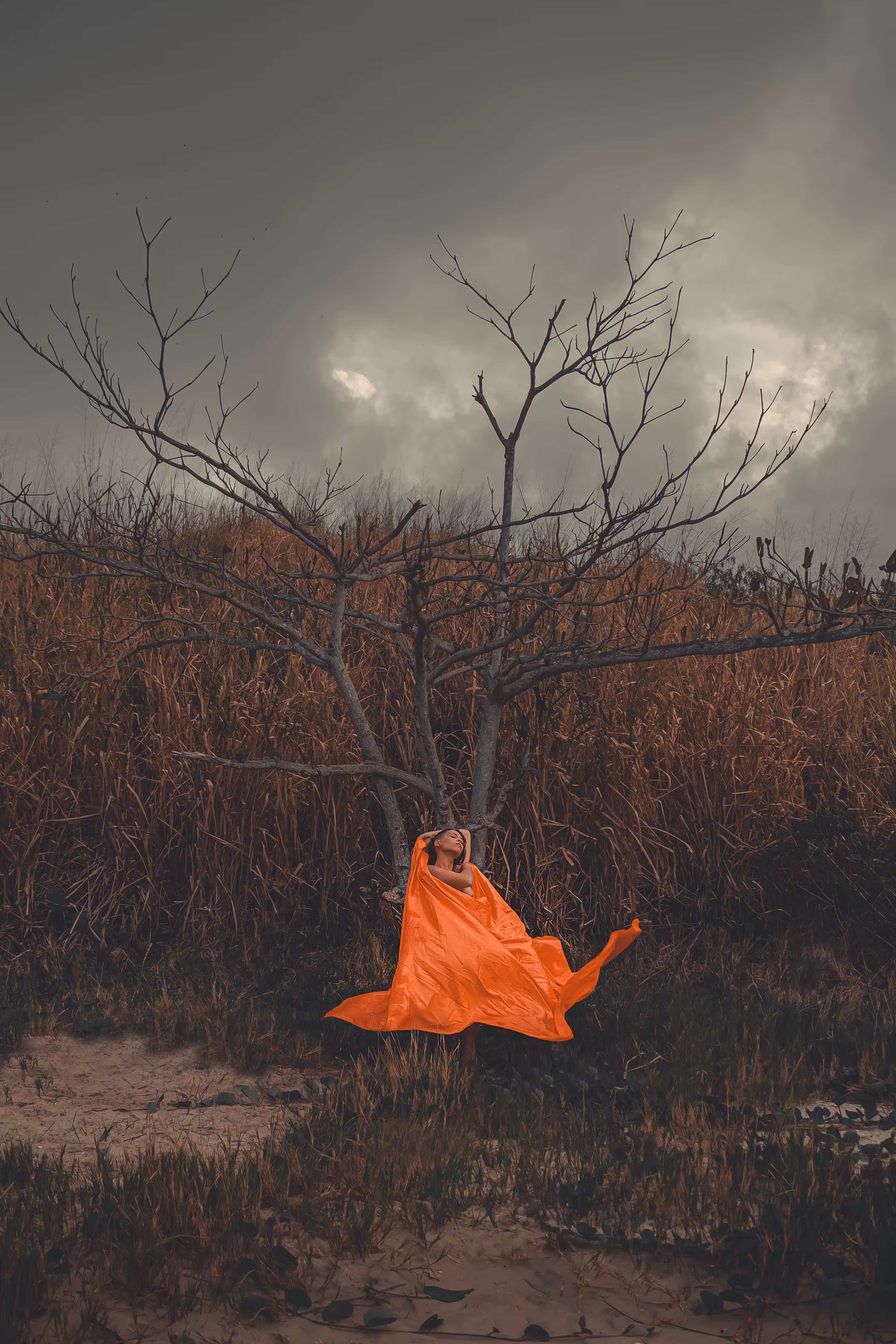 Storm Dancer