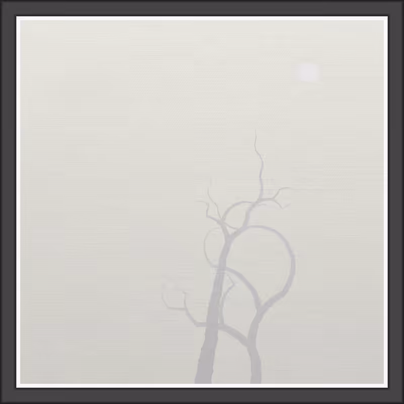 The Foggy Trees #144