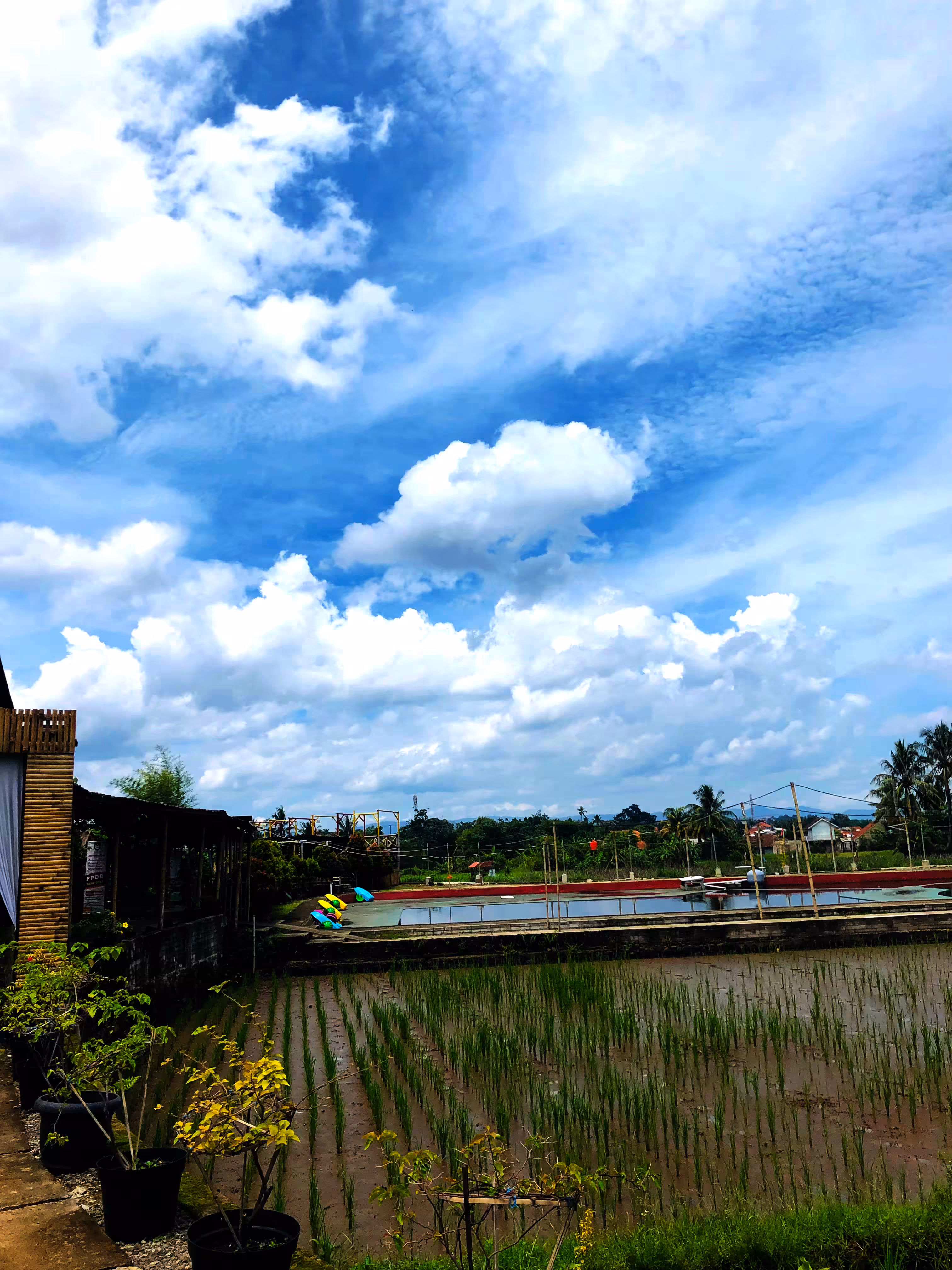 The Cloudy Place