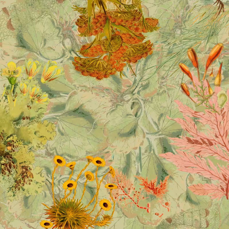 future flora from Antarctica's past #33