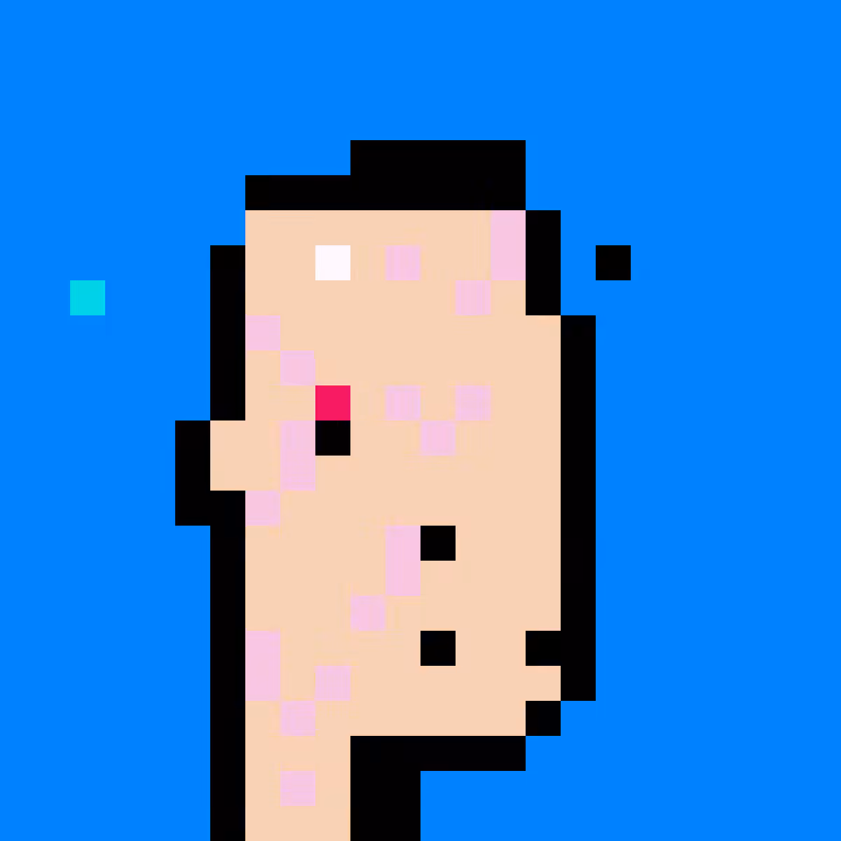 DOS Punks Recrunched: Recrunched DOS Punk 963