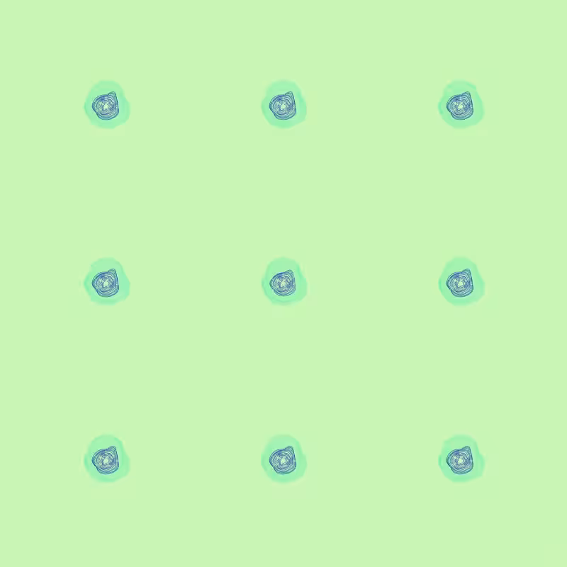 cycle#008