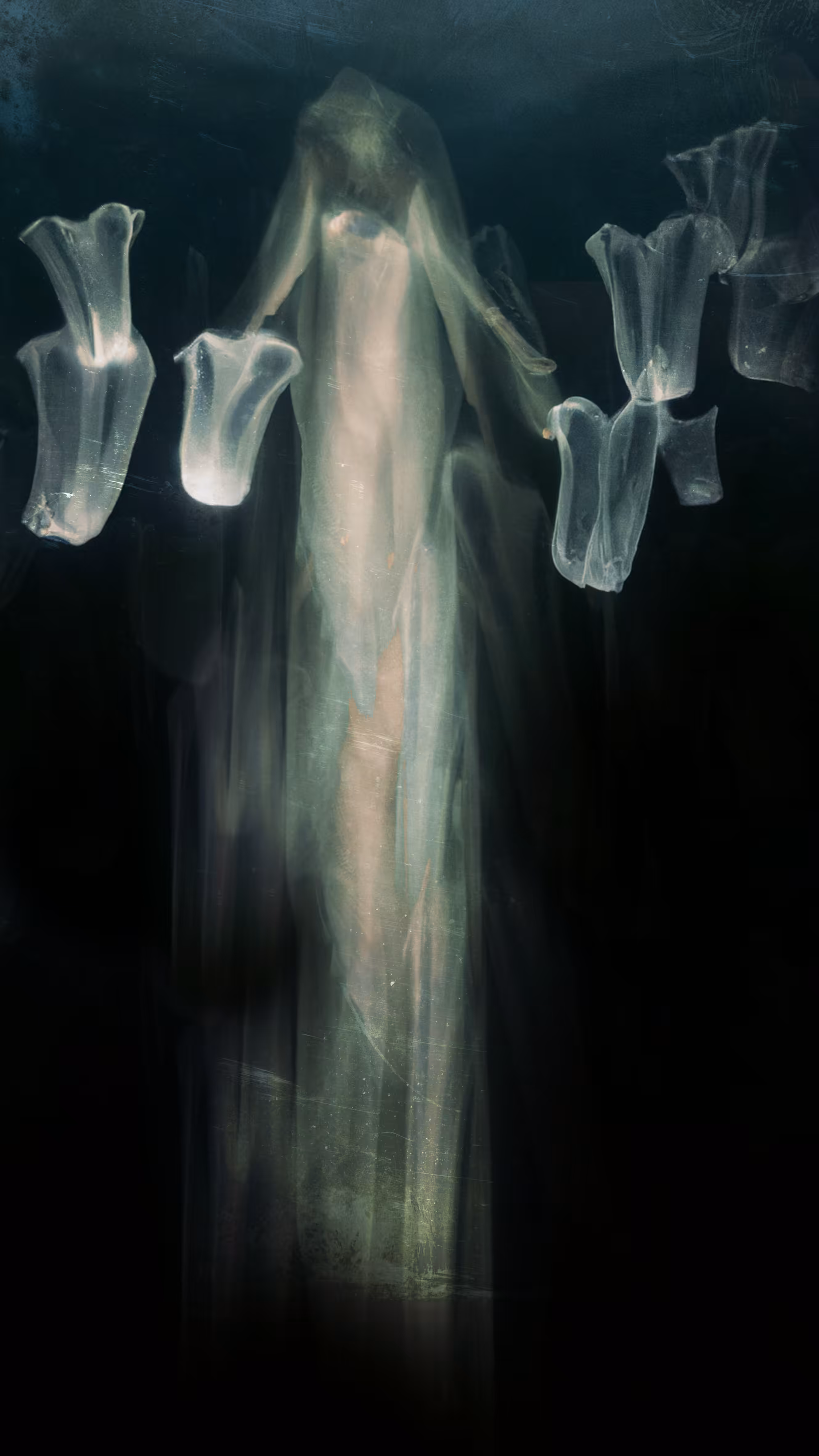 HIDE AND ASCEND 008