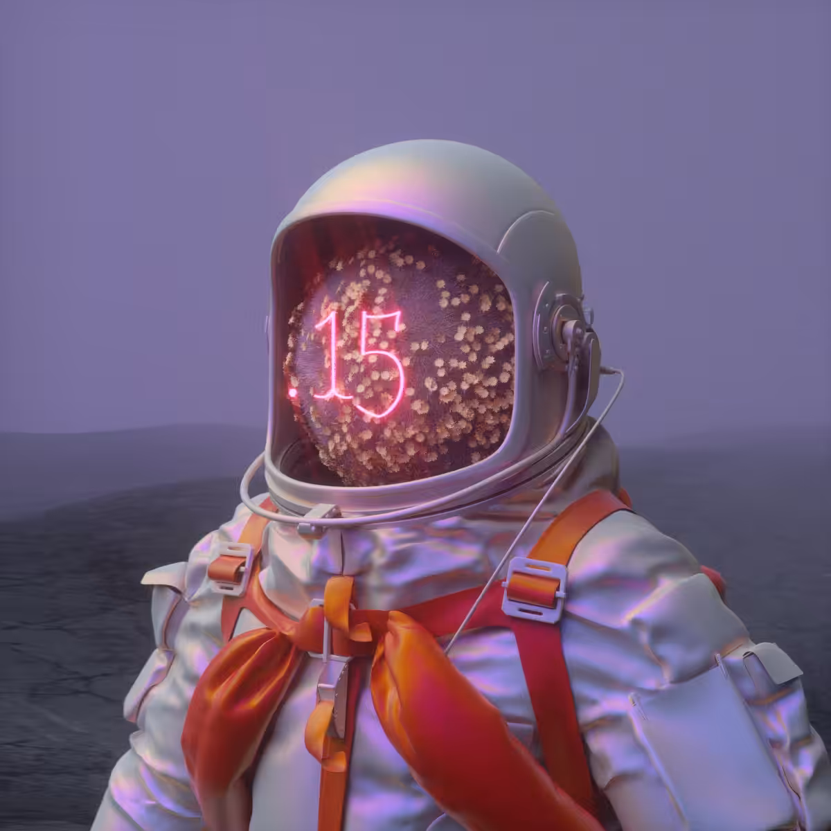 Portrait photograph from space man No.15