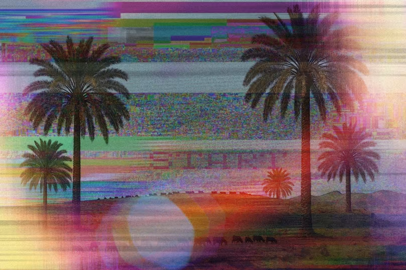 Desert Memory Signal