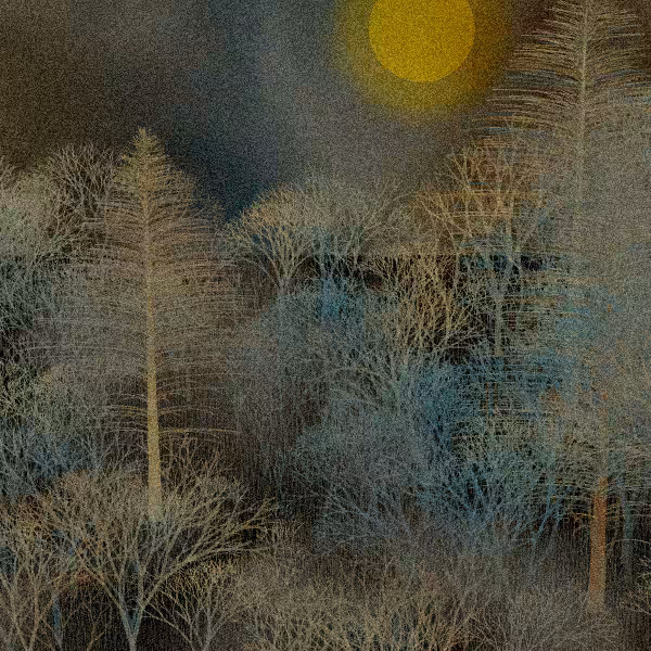 Moonlit Native Bush #51