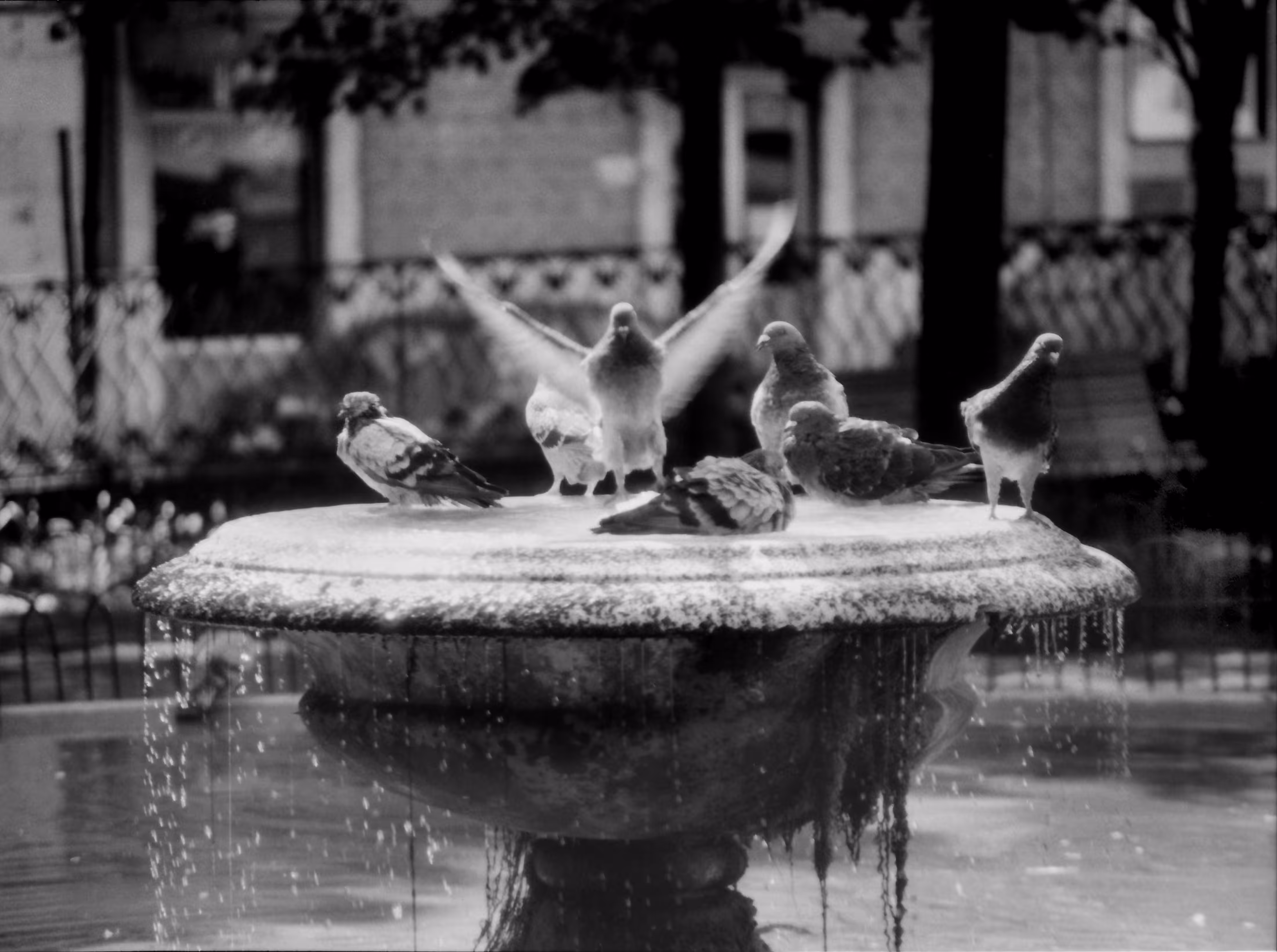 REFRESHMENT
