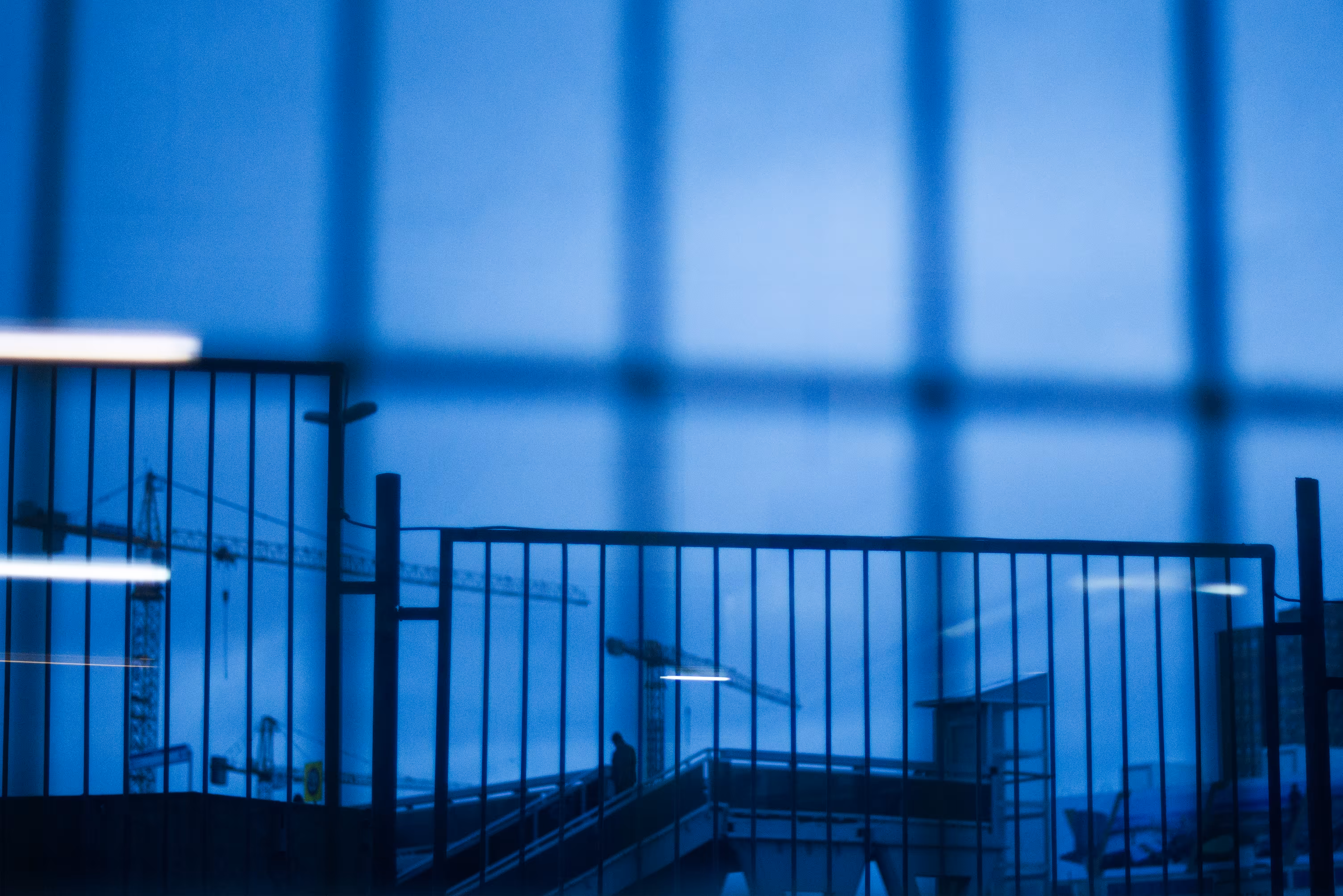 The Happy Valley: Metallic Loneliness