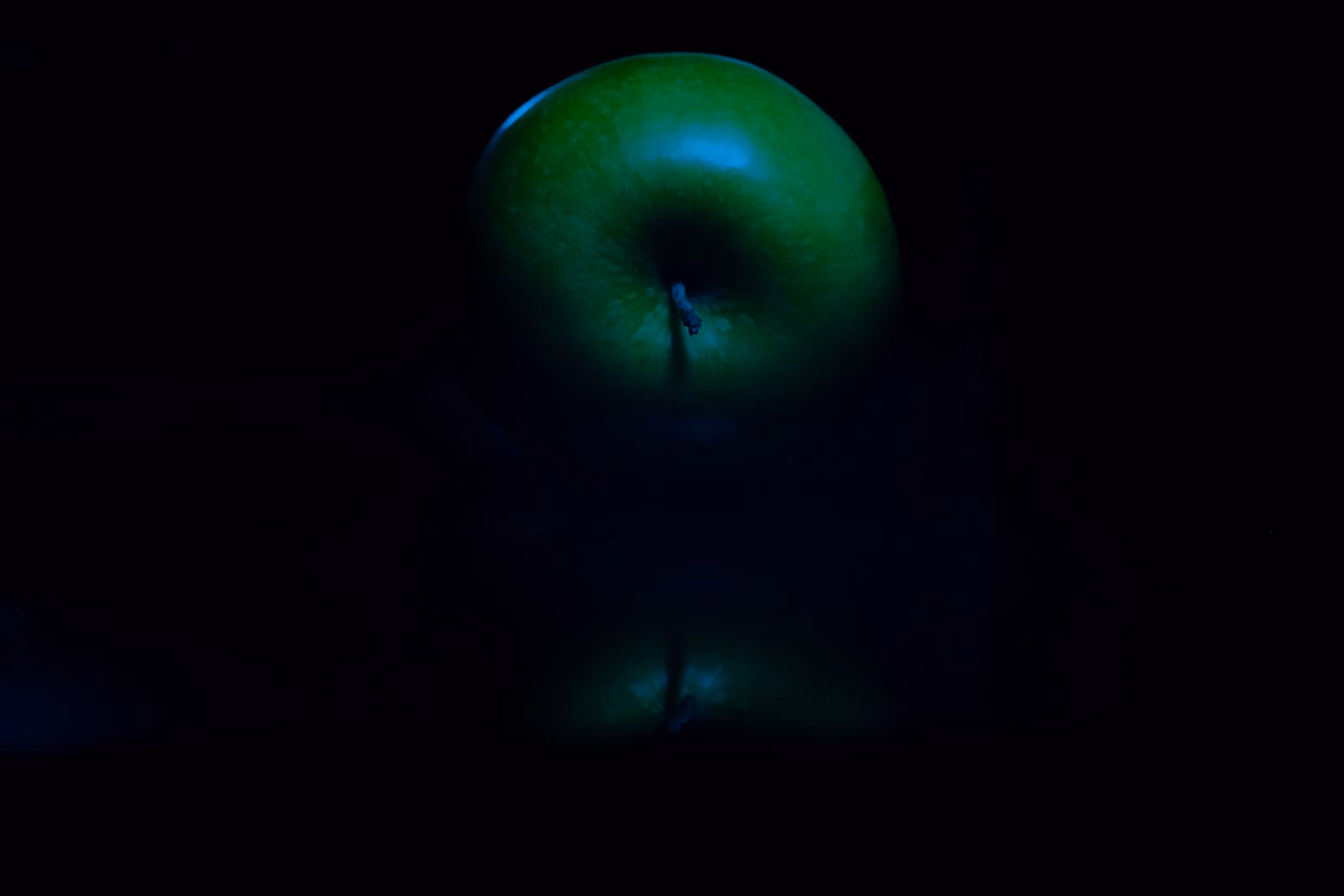 Photographer's DNA - #21