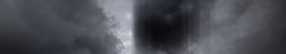 dynamism 57-1