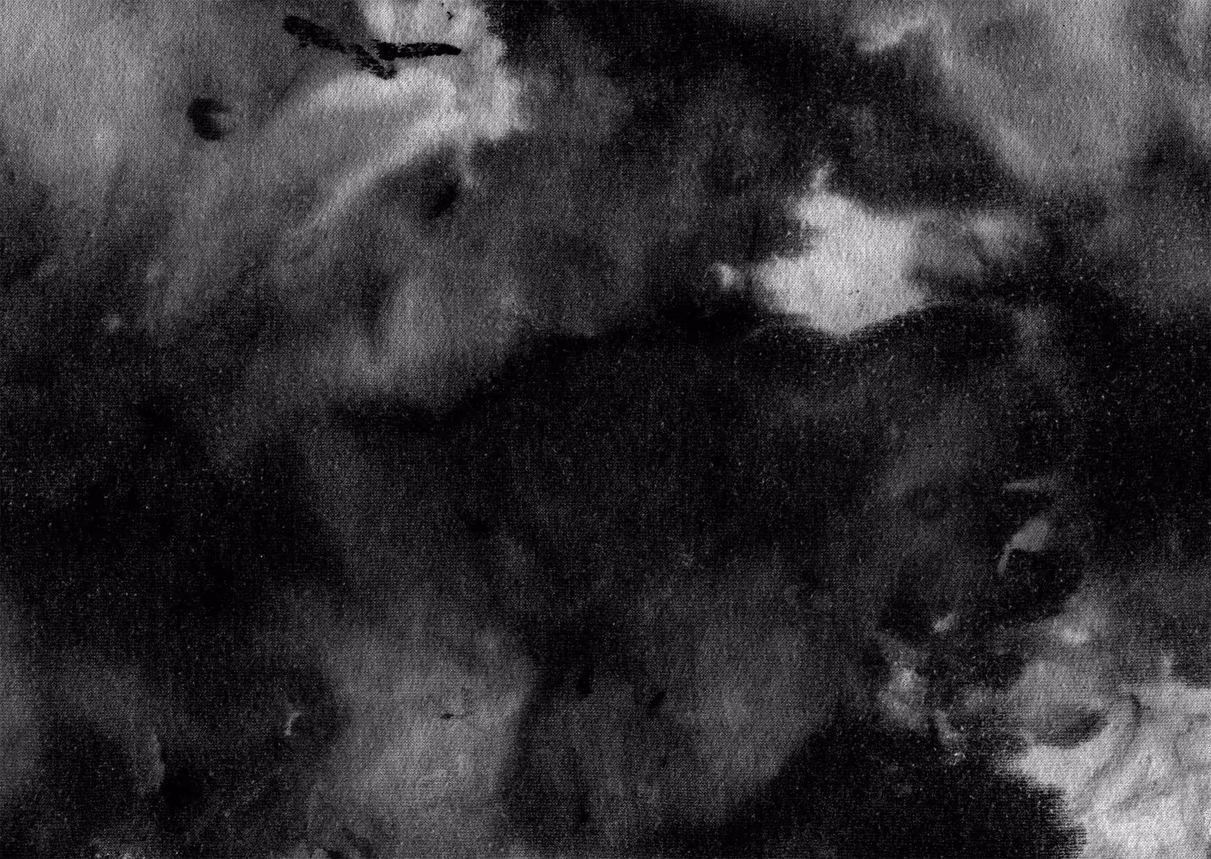 Bird crossing the storm